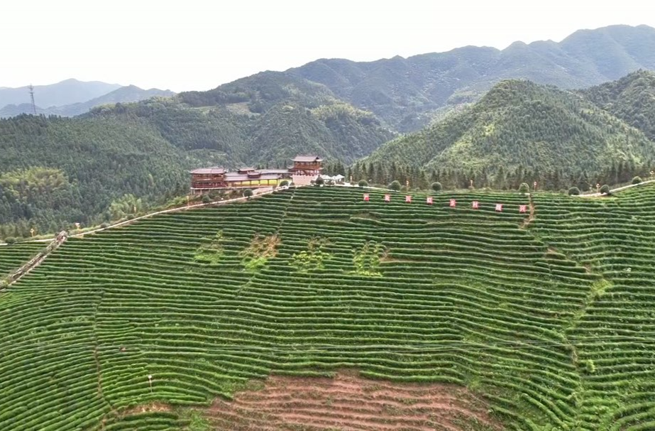 古楼驿茶旅秘境度假营地入选湖南文旅消费“新生代·新场景” 