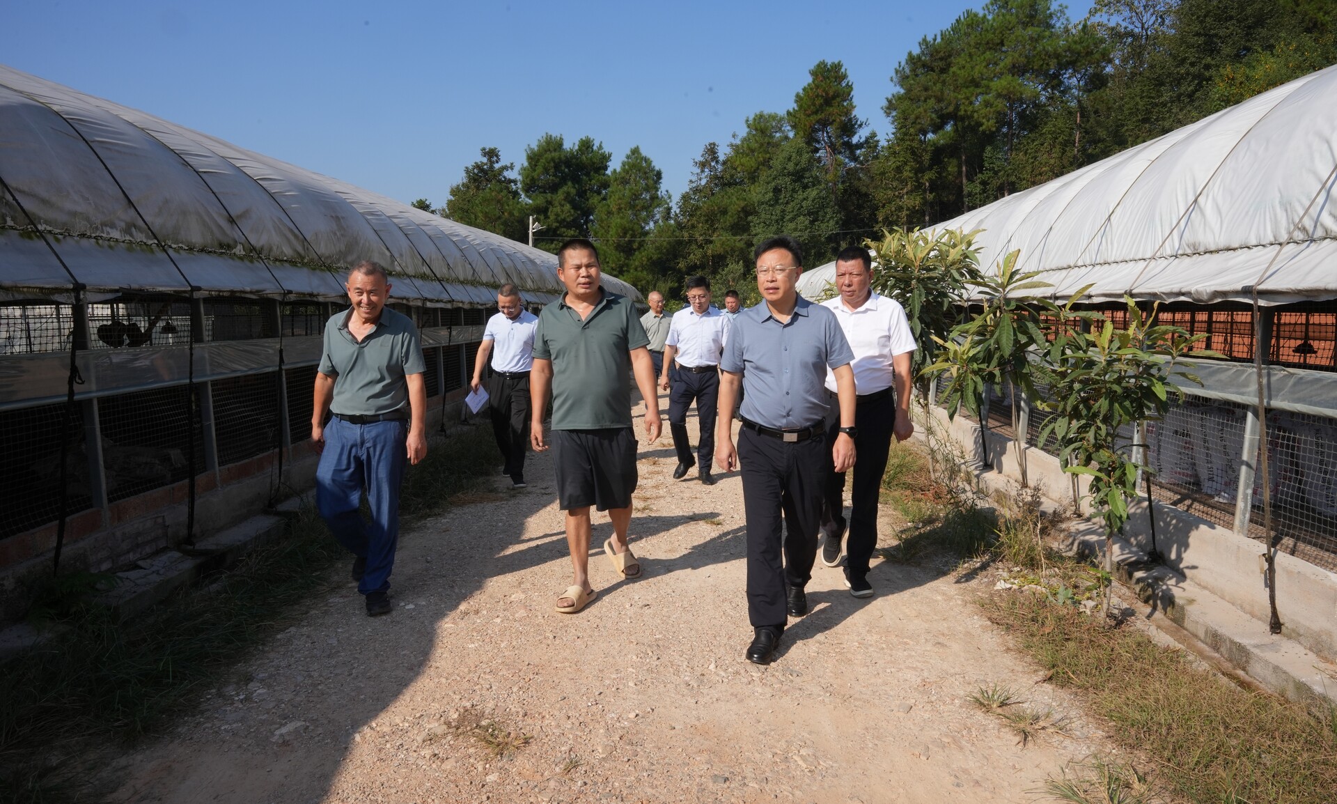 ﻿吴韬到石江镇调研基层党建、乡村振兴及“校园餐”工作