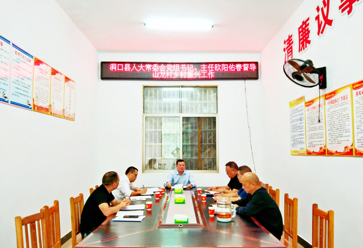 欧阳佑春专题调研山龙村乡村振兴工作