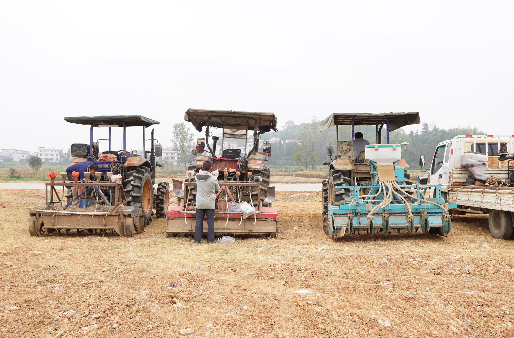 洞口：推广机械直播 油菜种出“加速度”