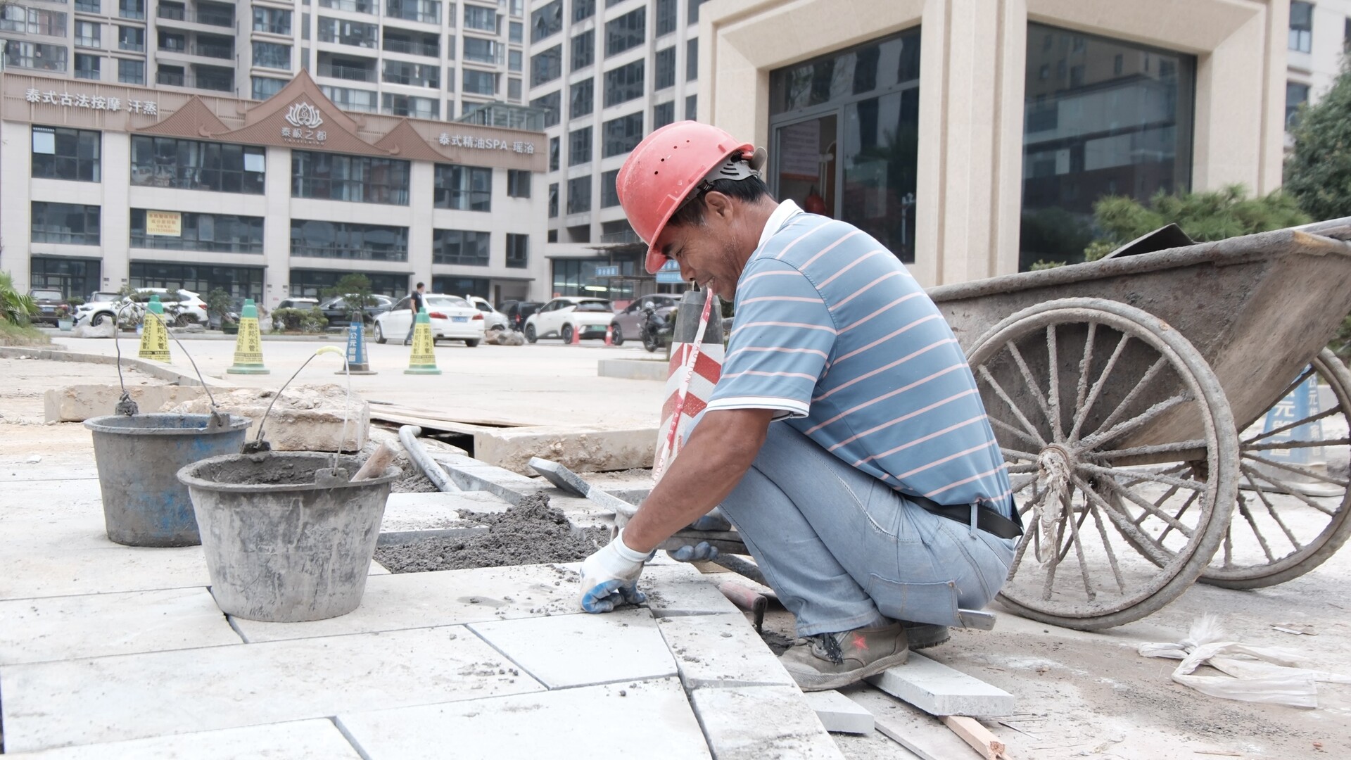 洞口大道添新绿 出行环境再升级