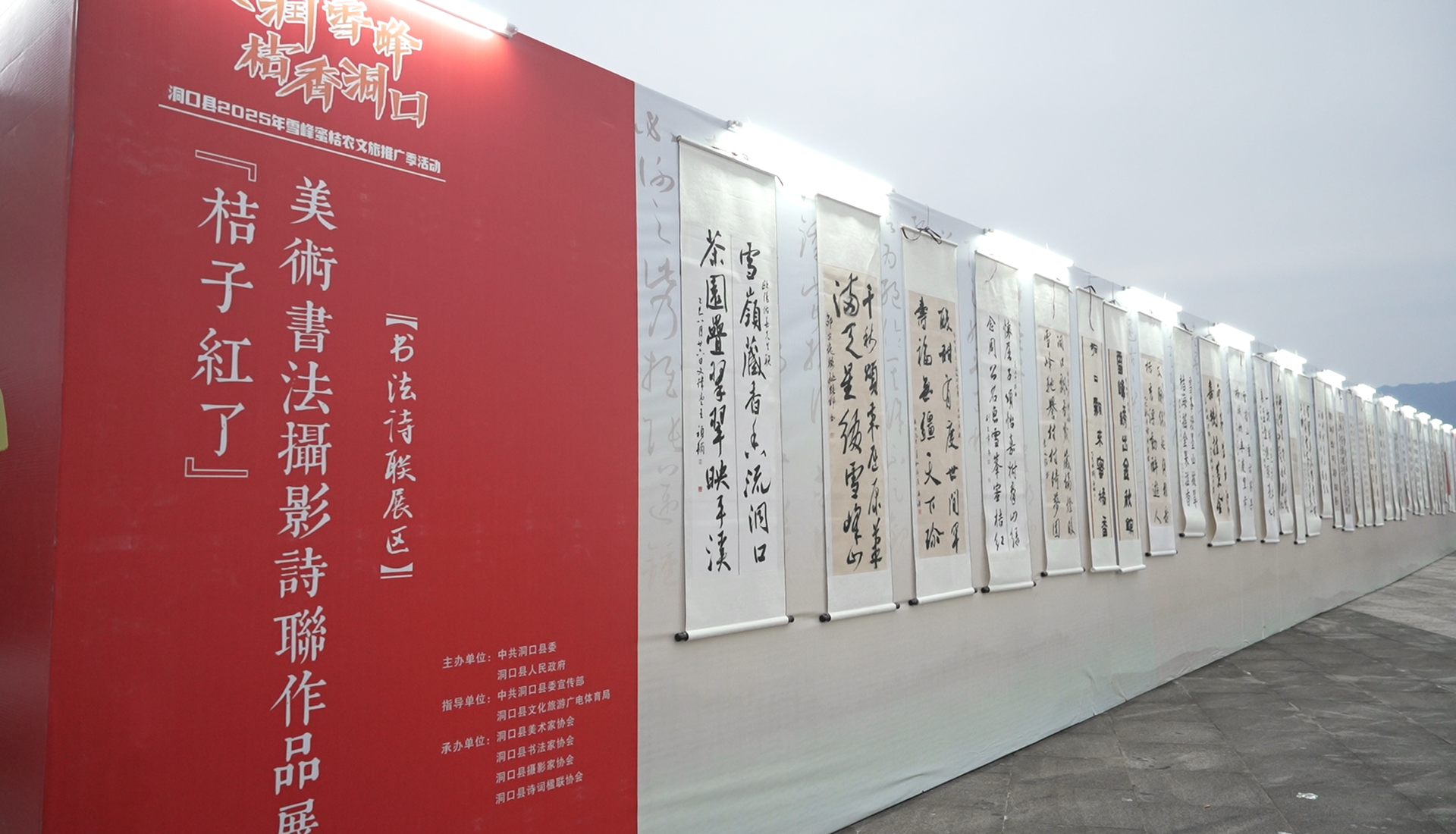 洞口县 “文韵・桔香” 活动启幕：文化为魂桔为媒，农文旅融合共芬芳​