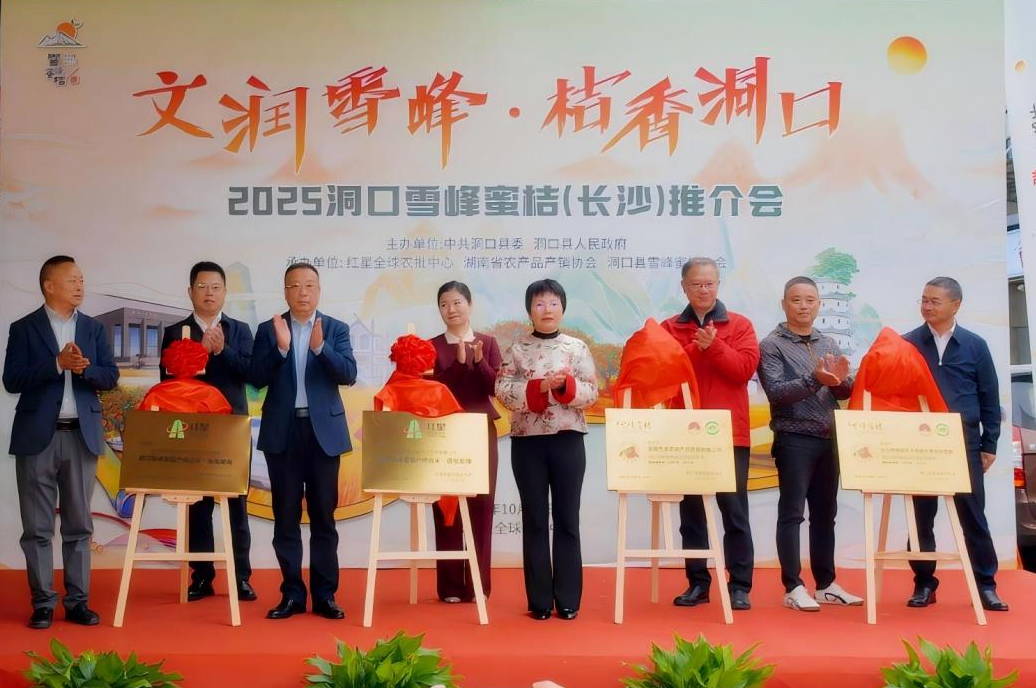 雪峰蜜桔再进长沙红星市场 ——2025洞口雪峰蜜桔（长沙）推介会圆满举办！