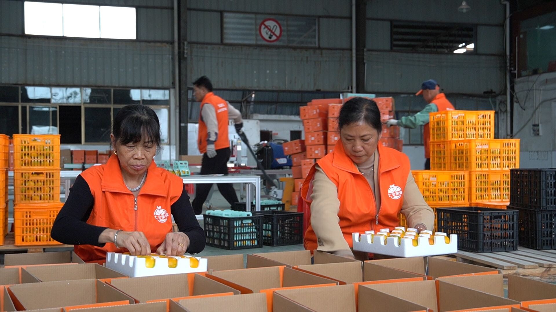 甜蜜助威，桔香绿茵：七灵果业捐赠雪峰蜜桔助力湘超