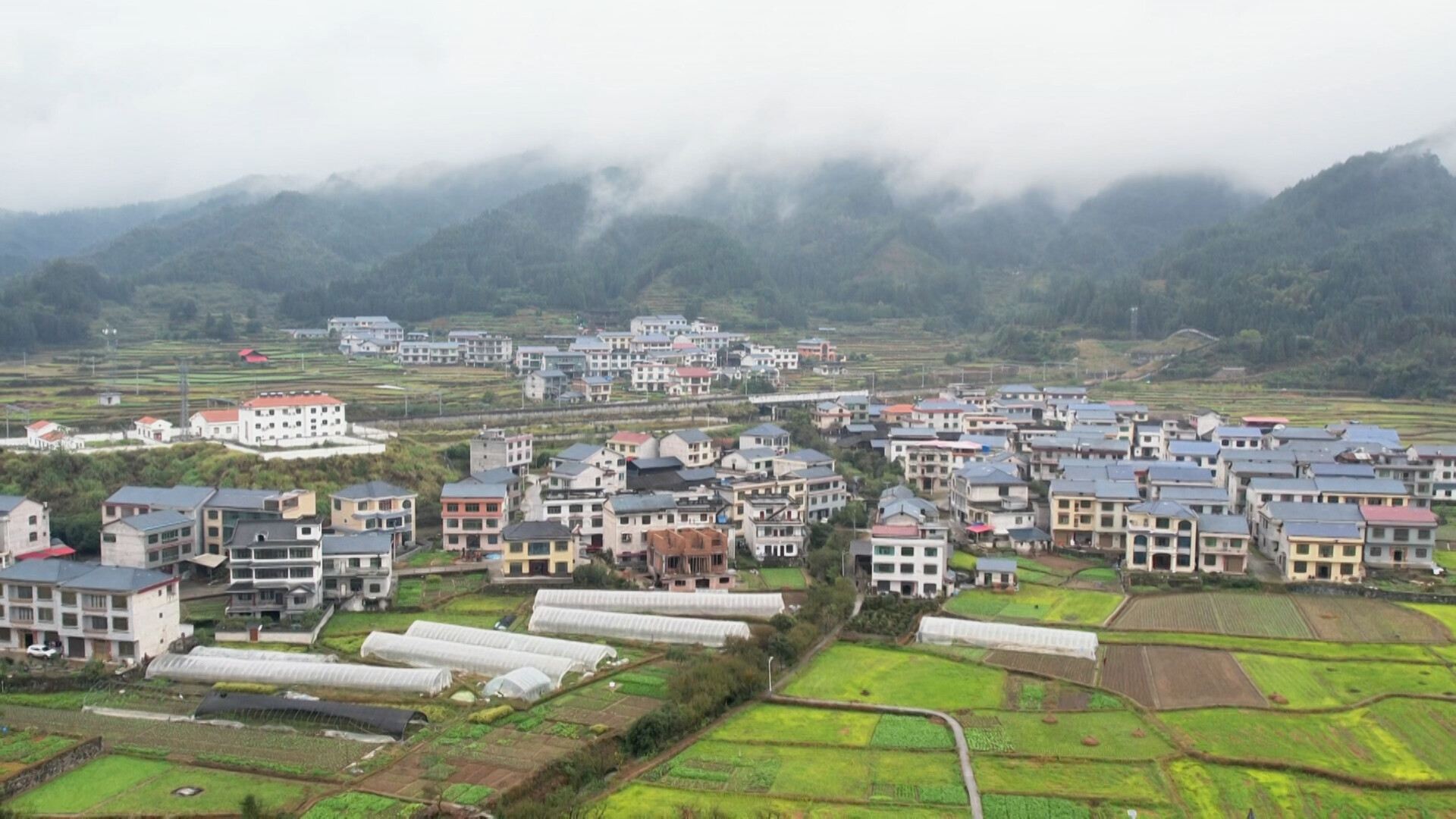 江口镇畔上村：多措并举激活村级集体经济 “一池春水”