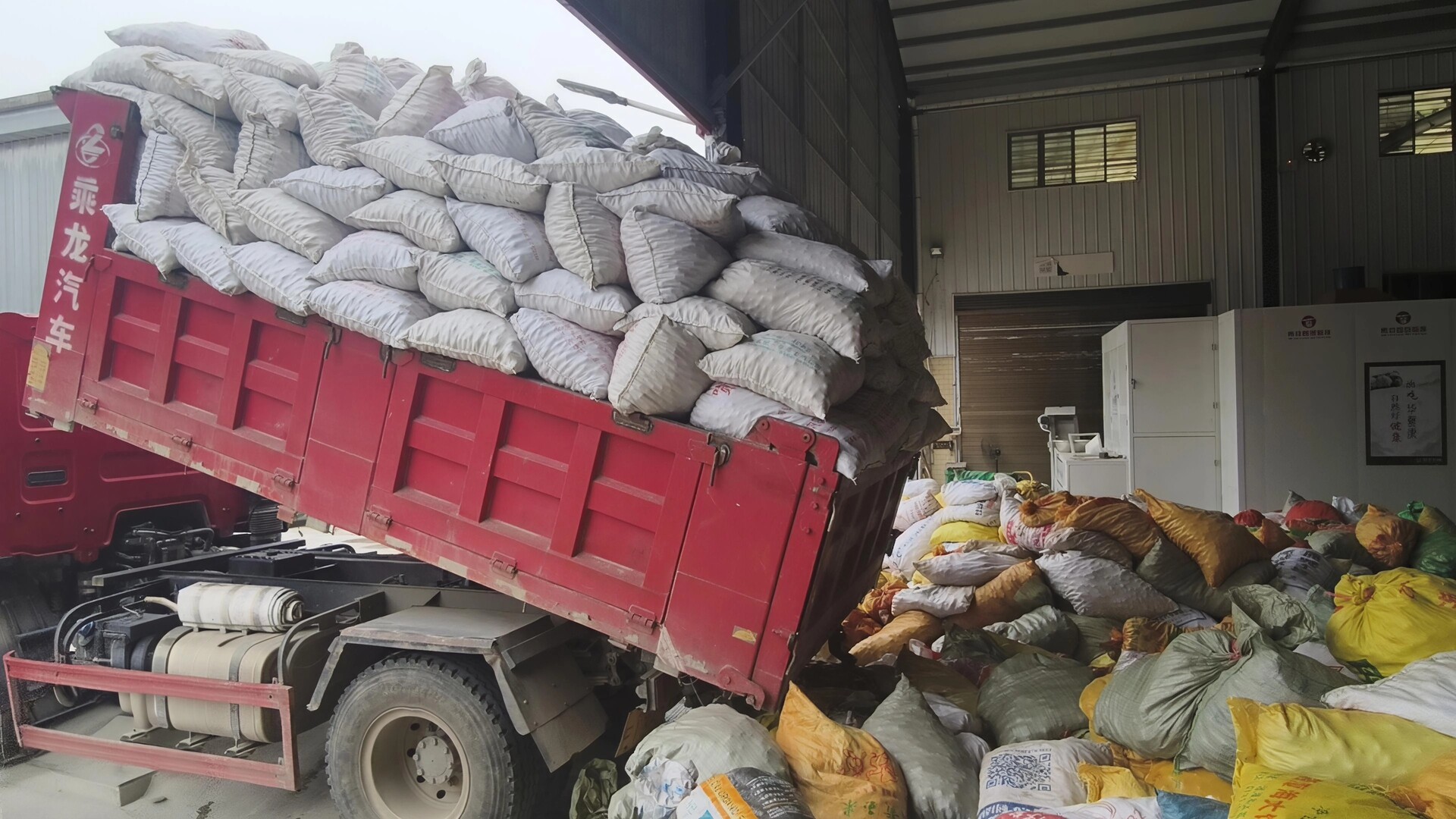 洞口：油茶林结出“致富果”，科技赋能产业路