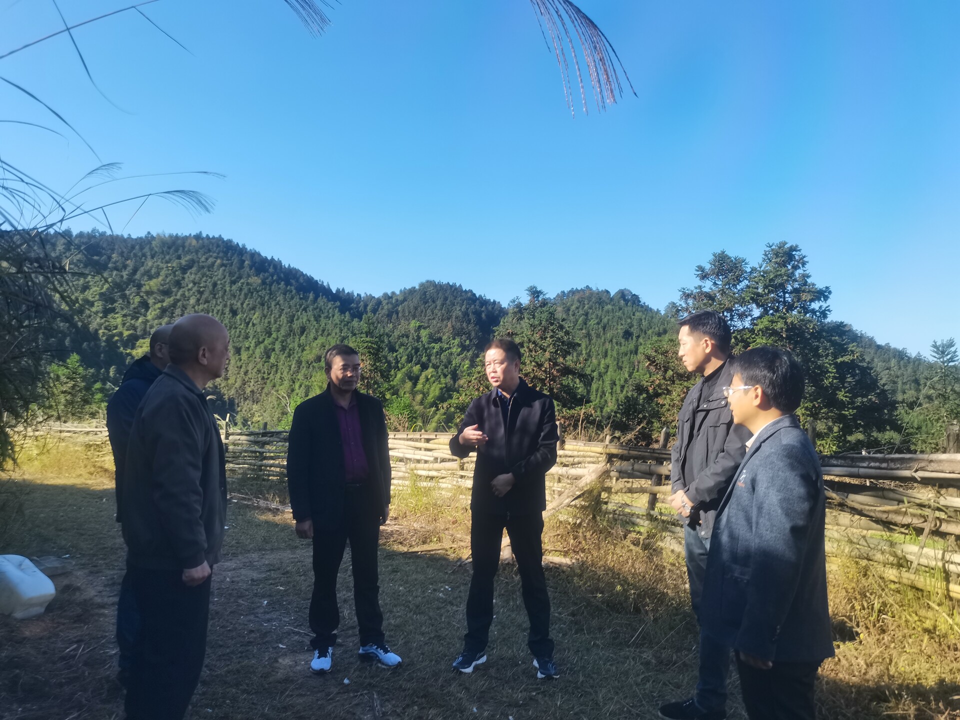 向书宏到山龙村督导乡村振兴工作