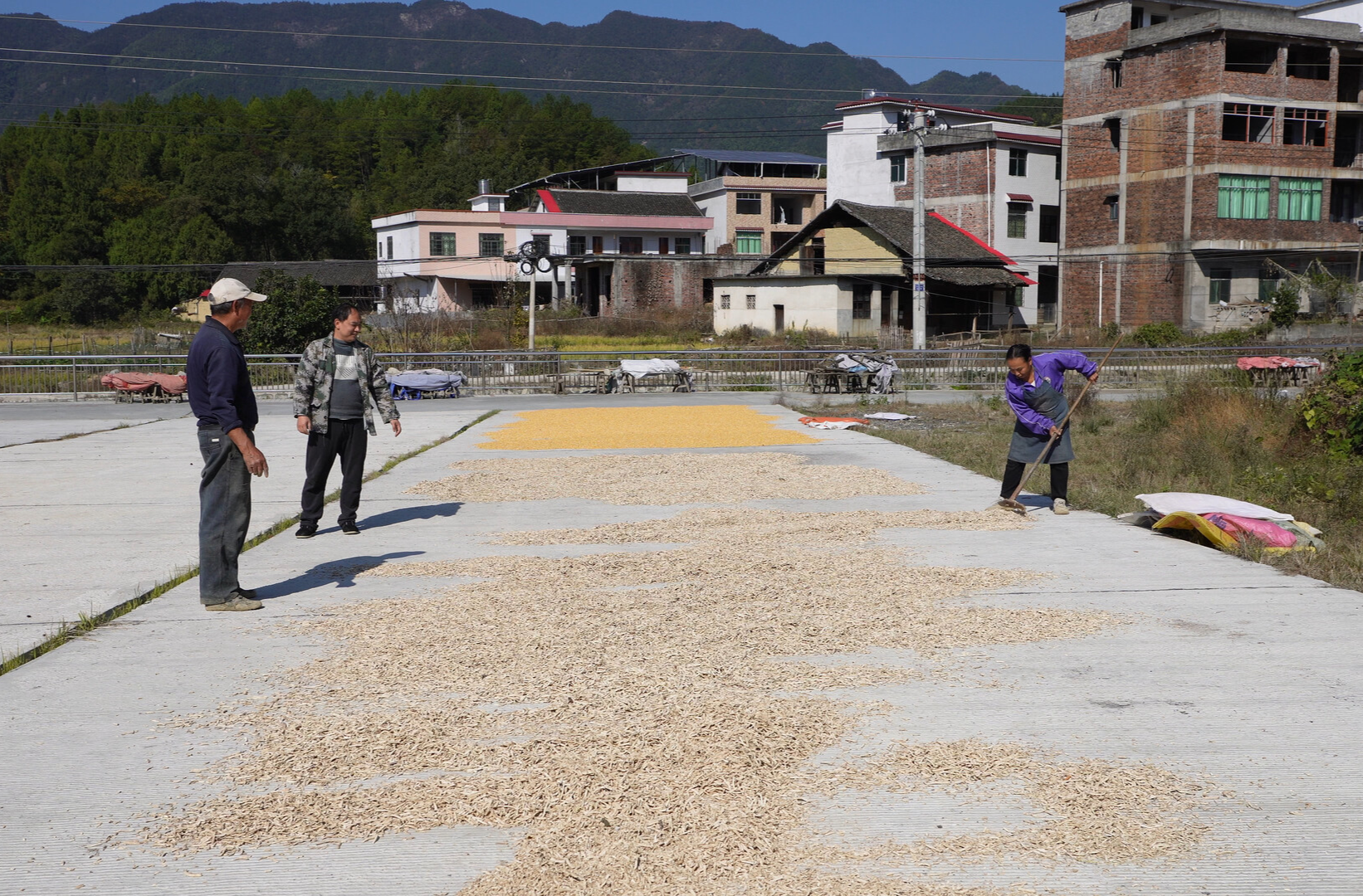 四中全会精神在基层丨石柱镇：一方小晒坪，盘活基层治理大文章