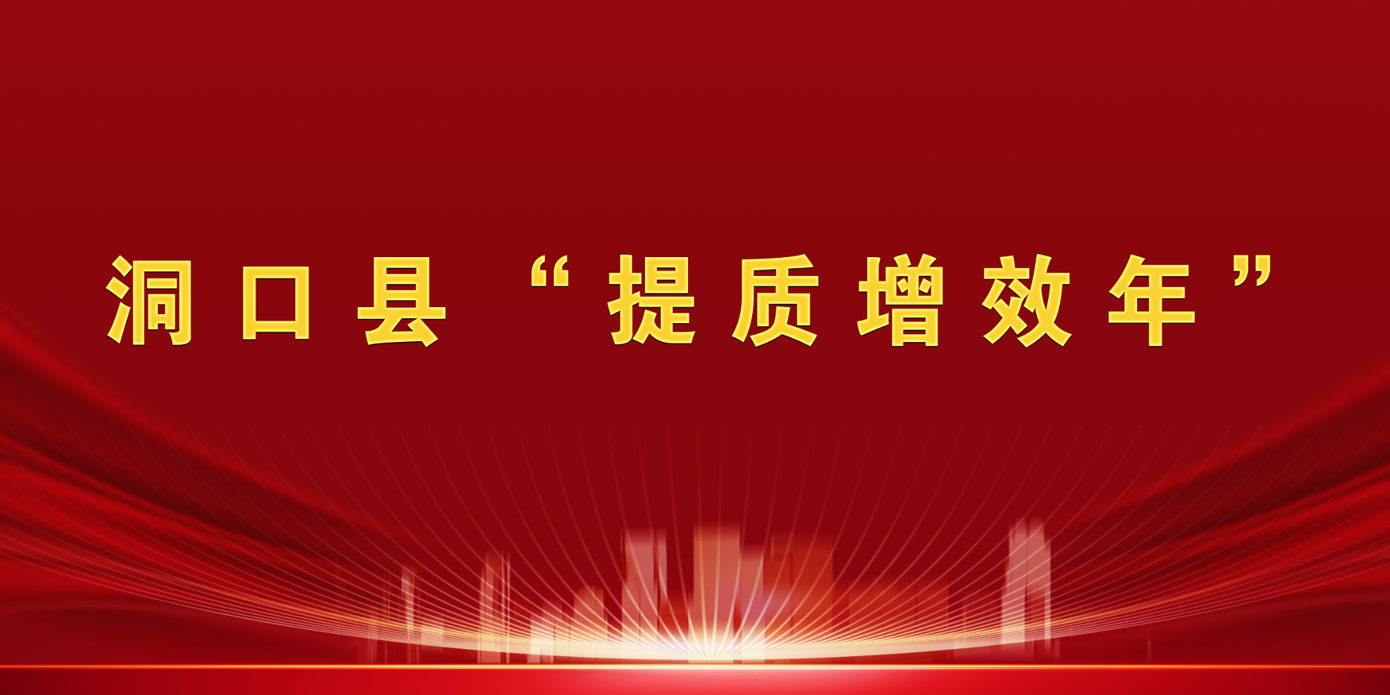 洞口县“提质增效年”
