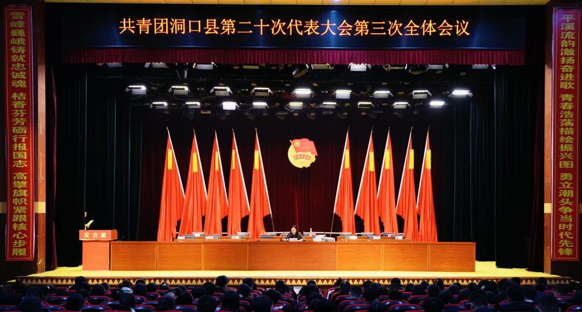 共青团洞口县第二十次代表大会胜利闭幕