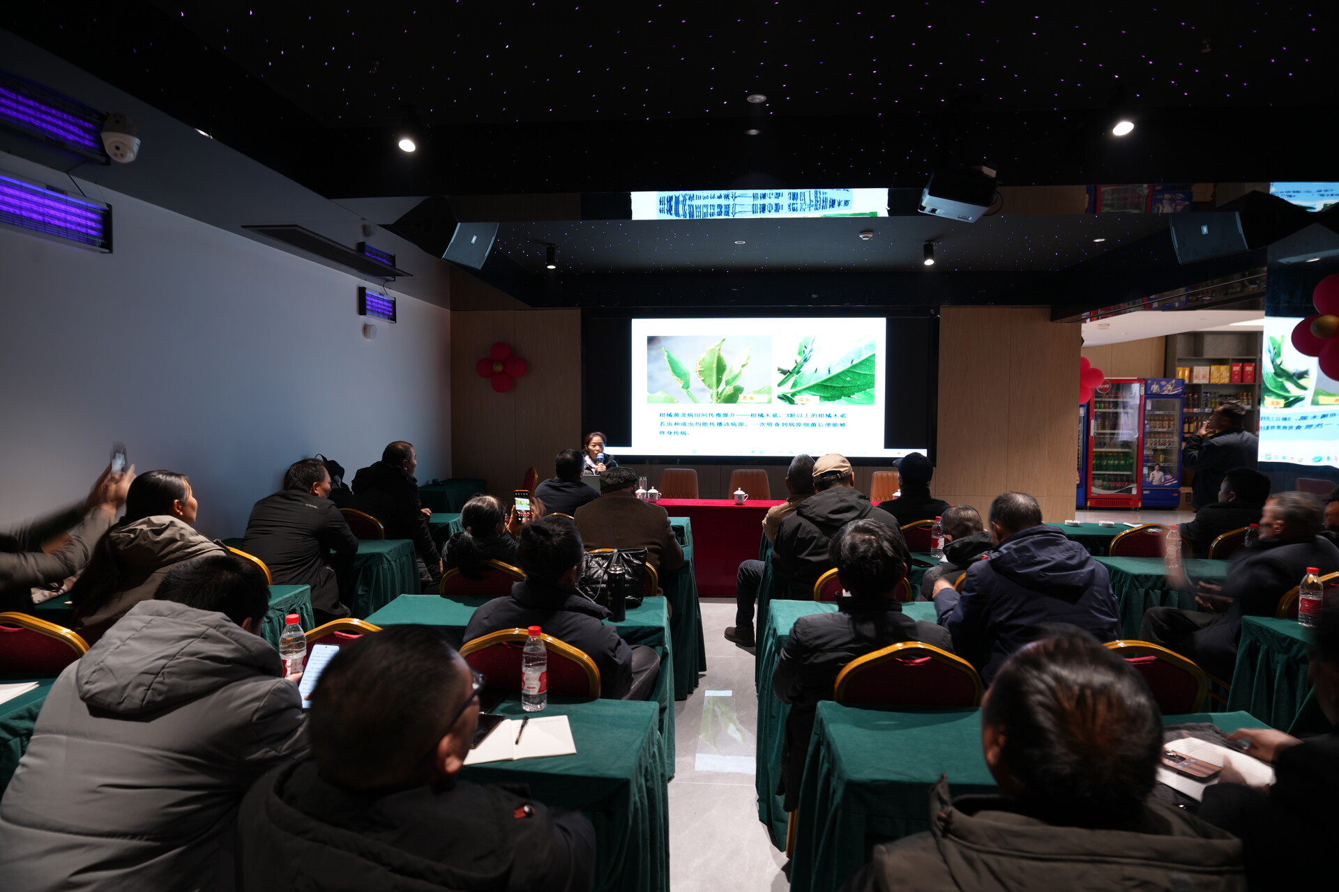 洞口县开展柑橘种植关键技术专题培训，护航柑橘产业提质增效