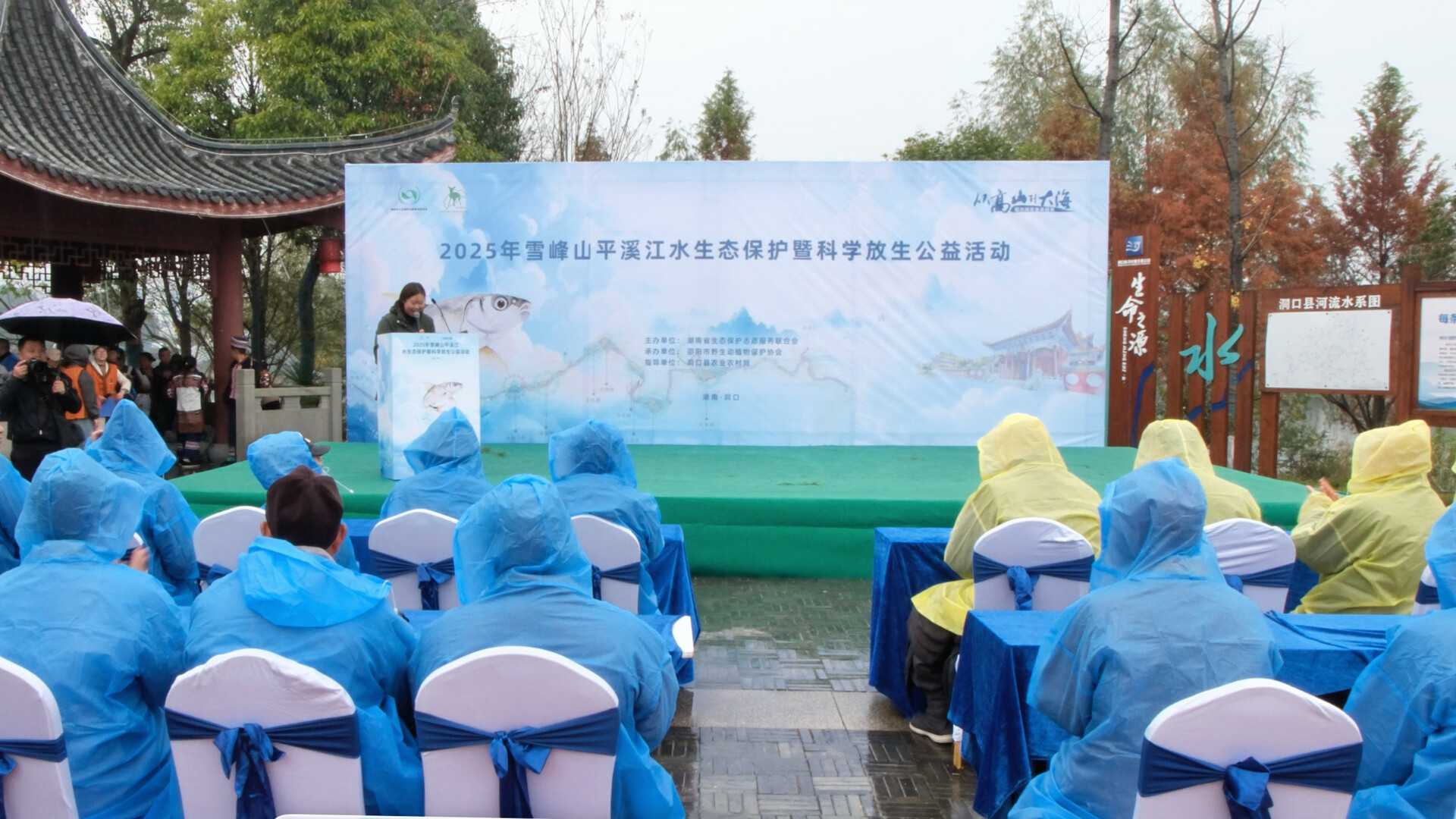 科学放生护生态 平溪河畔谱新篇