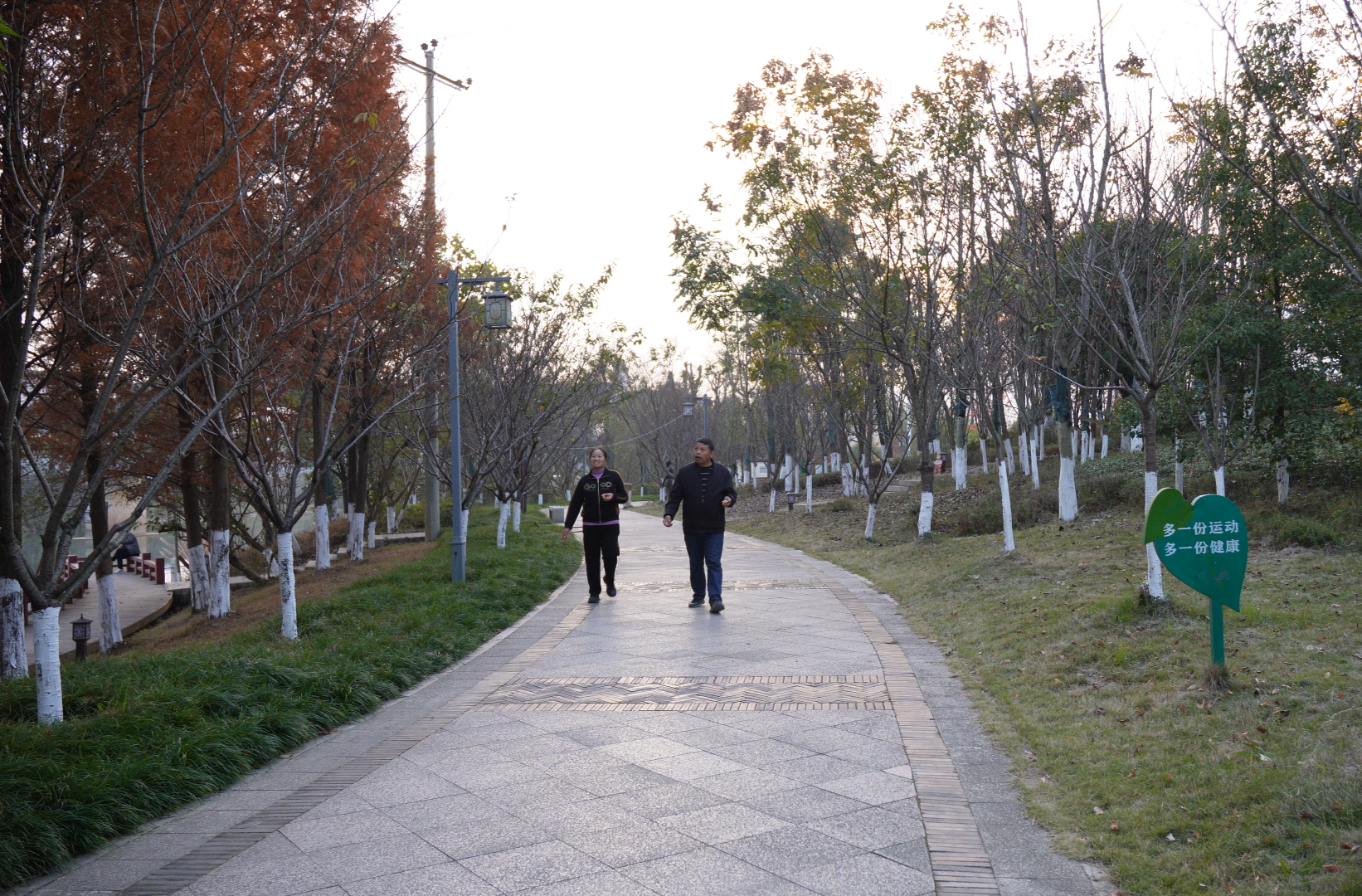 绿满橘城享惬意 公园绿地绘就幸福画卷