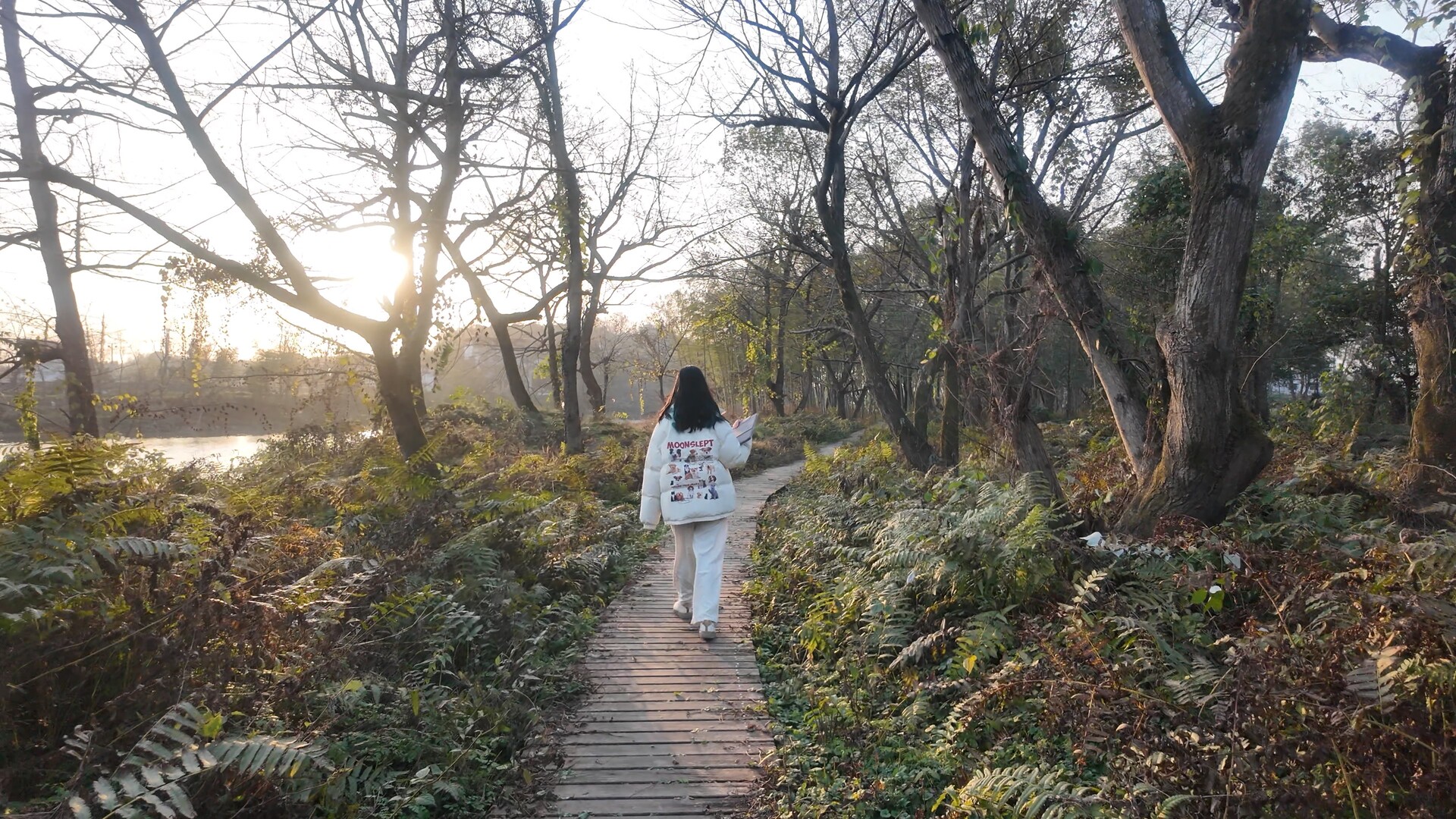冬雨初霁   平溪江国家湿地公园绘就水墨画卷