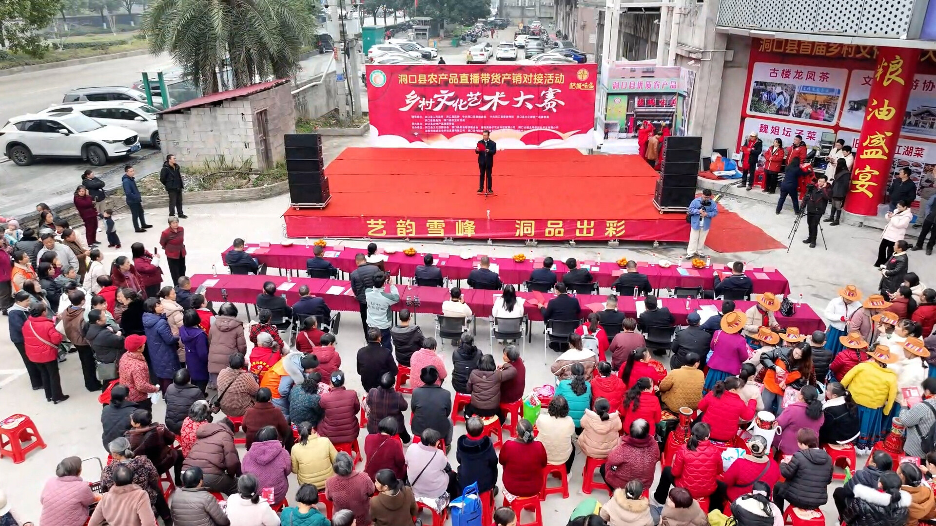 洞口县举行农产品直播带货产销对接活动暨首届乡村文化艺术大赛