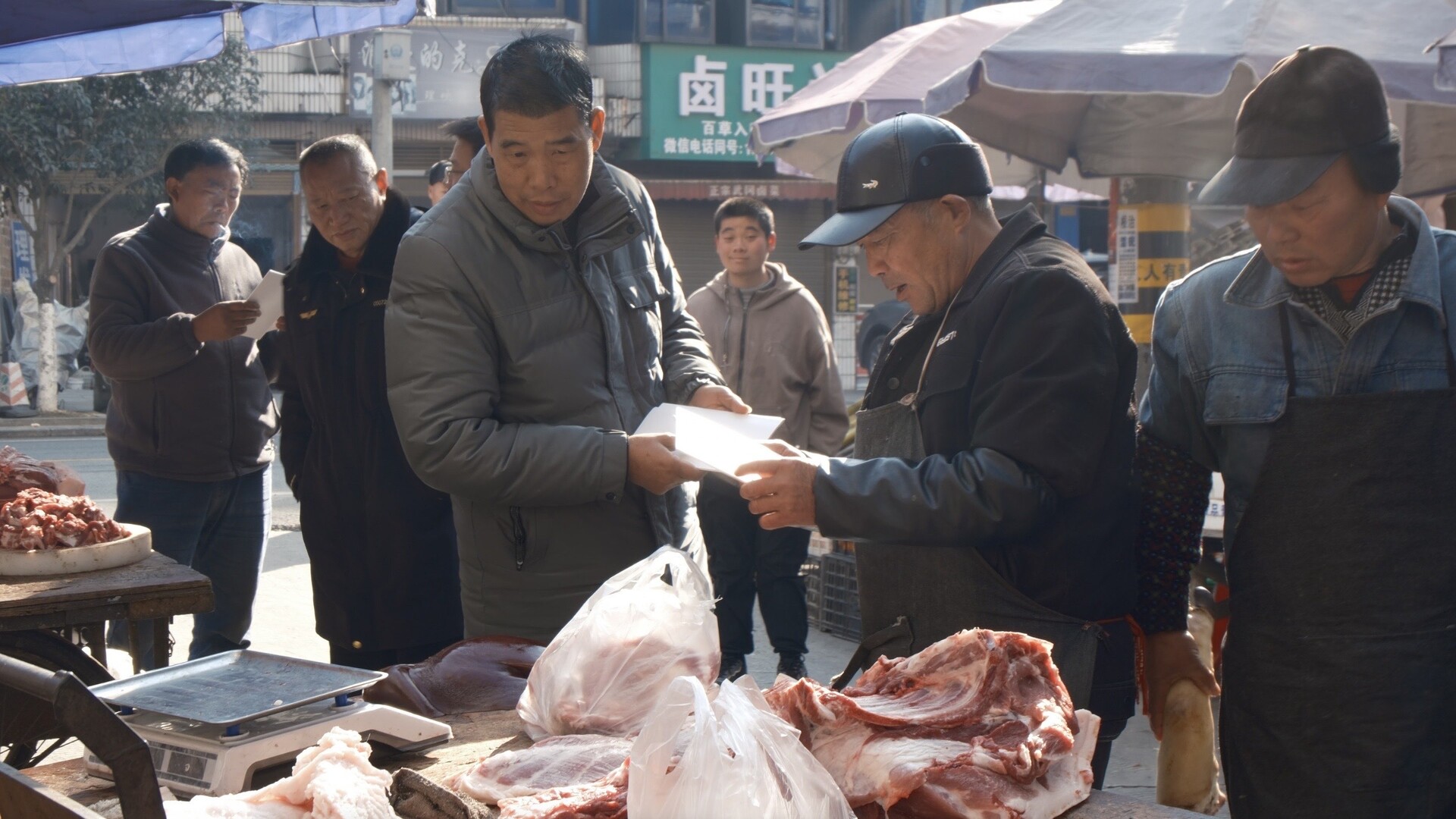 洞口县开展野生动物保护专项行动 织密生态防护网