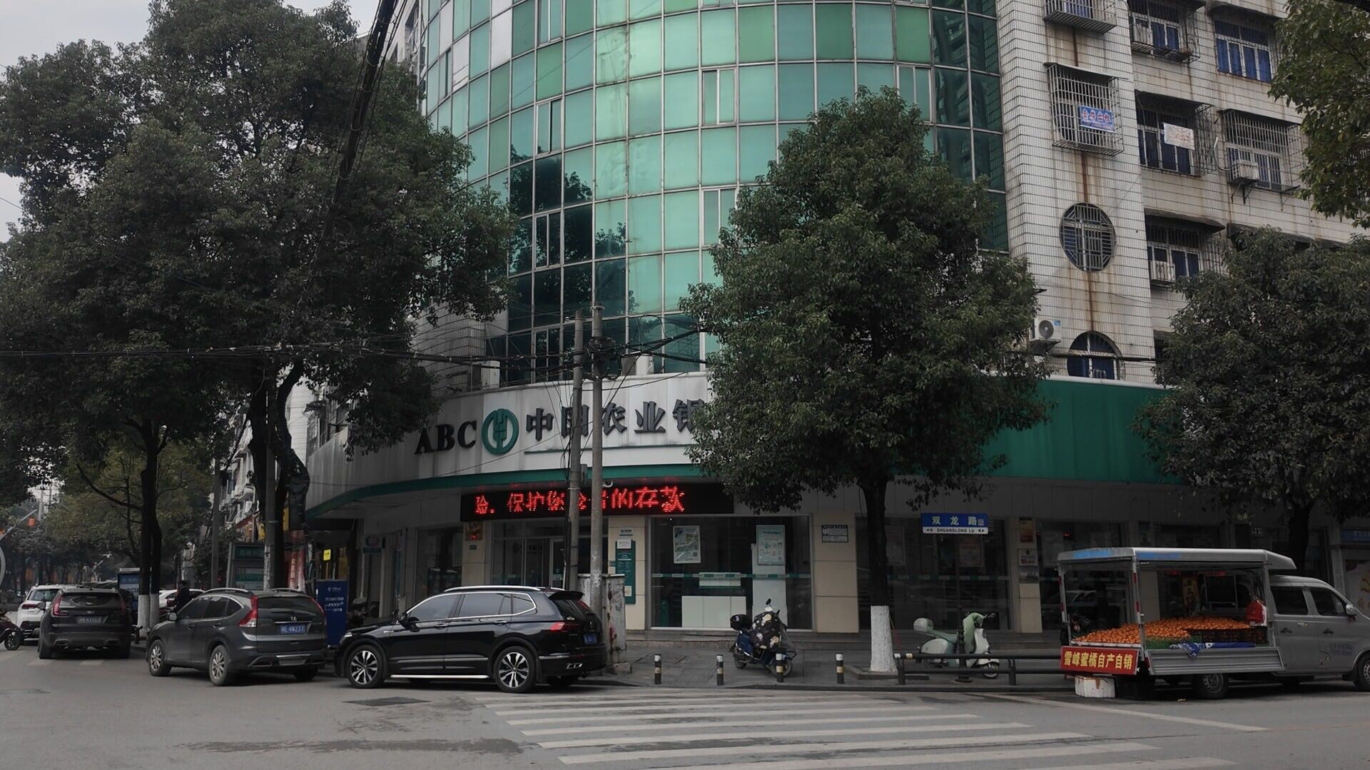 2026年马年生肖纪念币、纪念钞即将开启预约