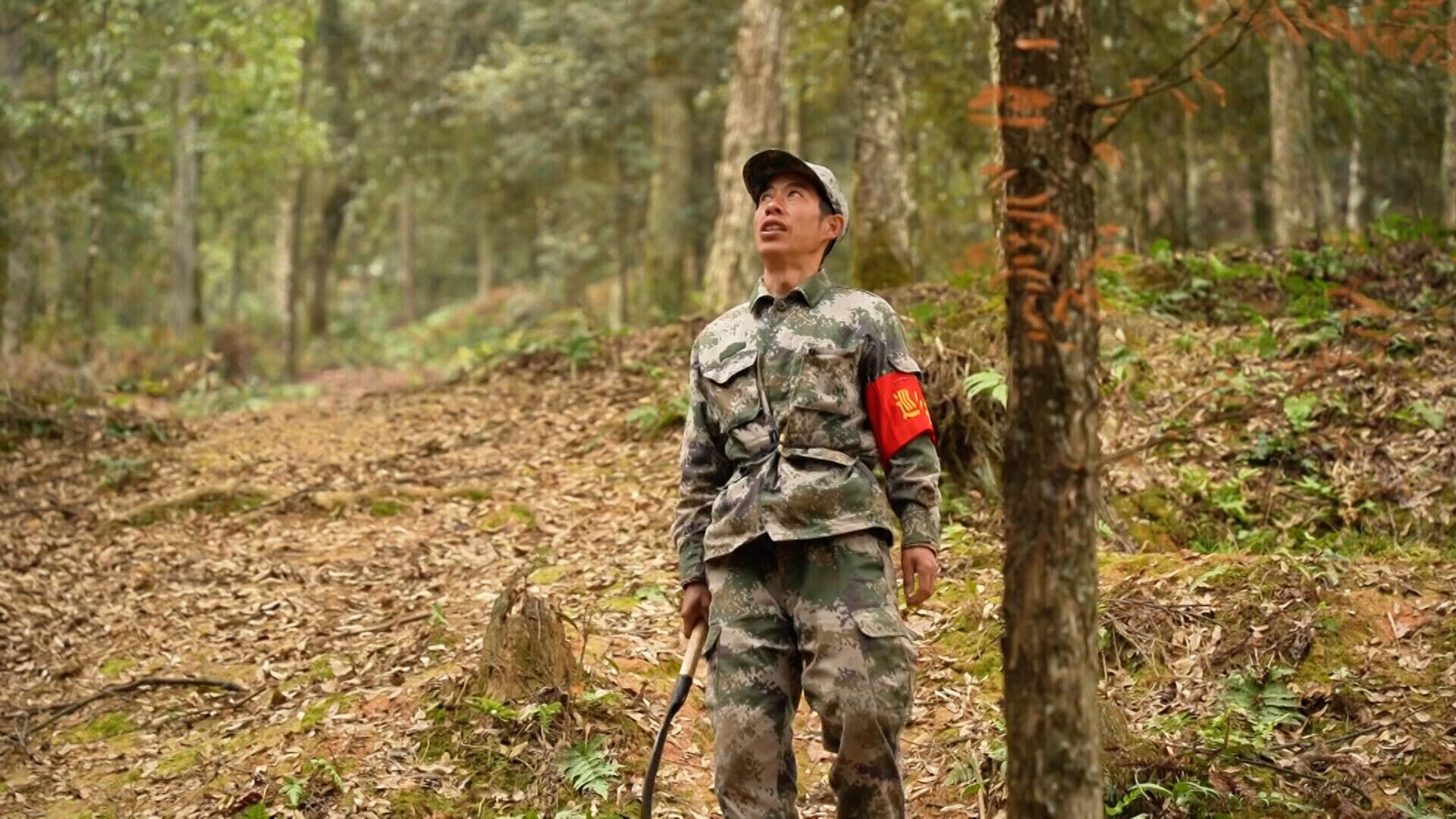 洞口县护林员张华林入选2025年第二批“湖南好人”榜单