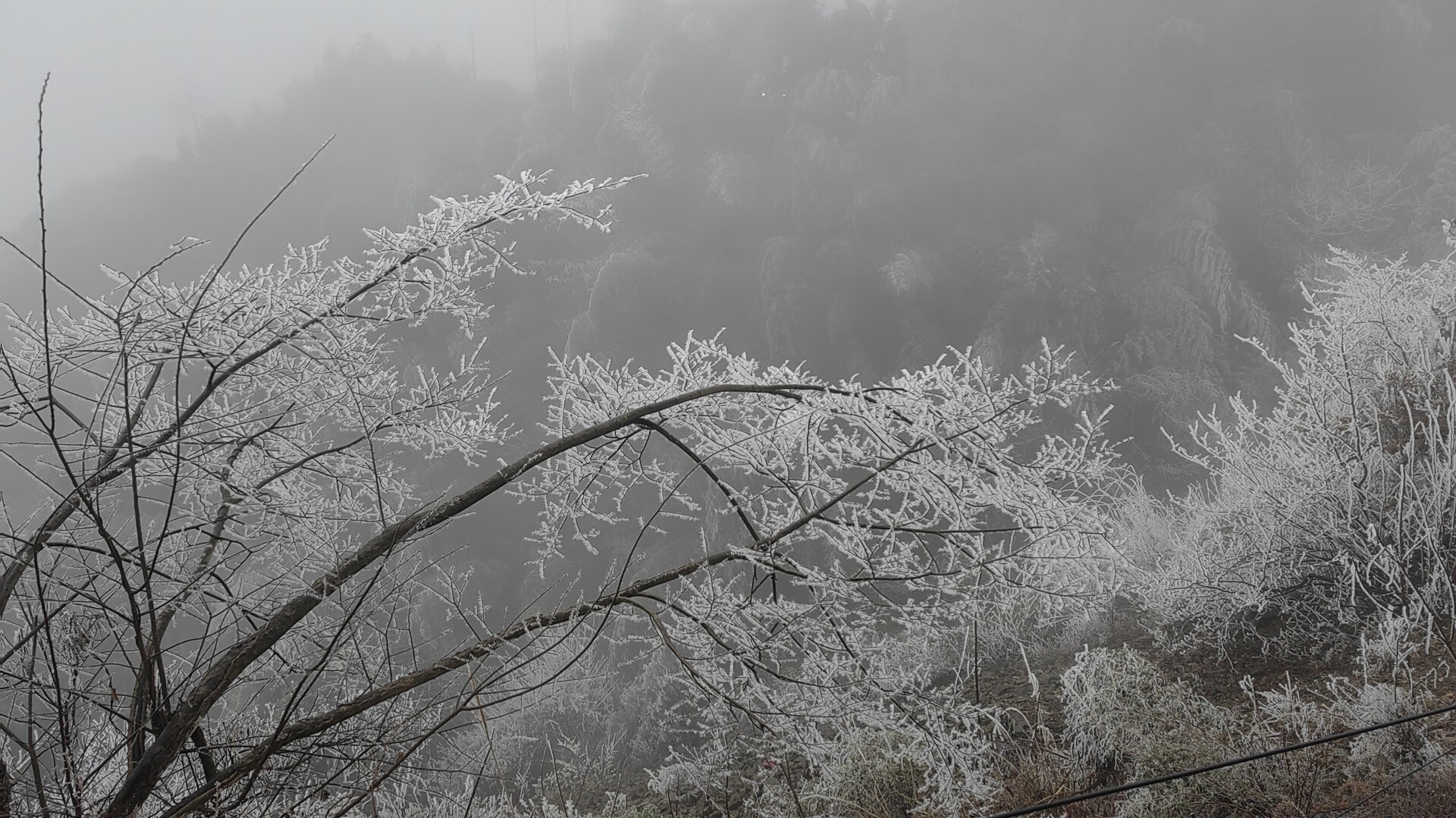 大屋瑶族乡：雾凇美如画