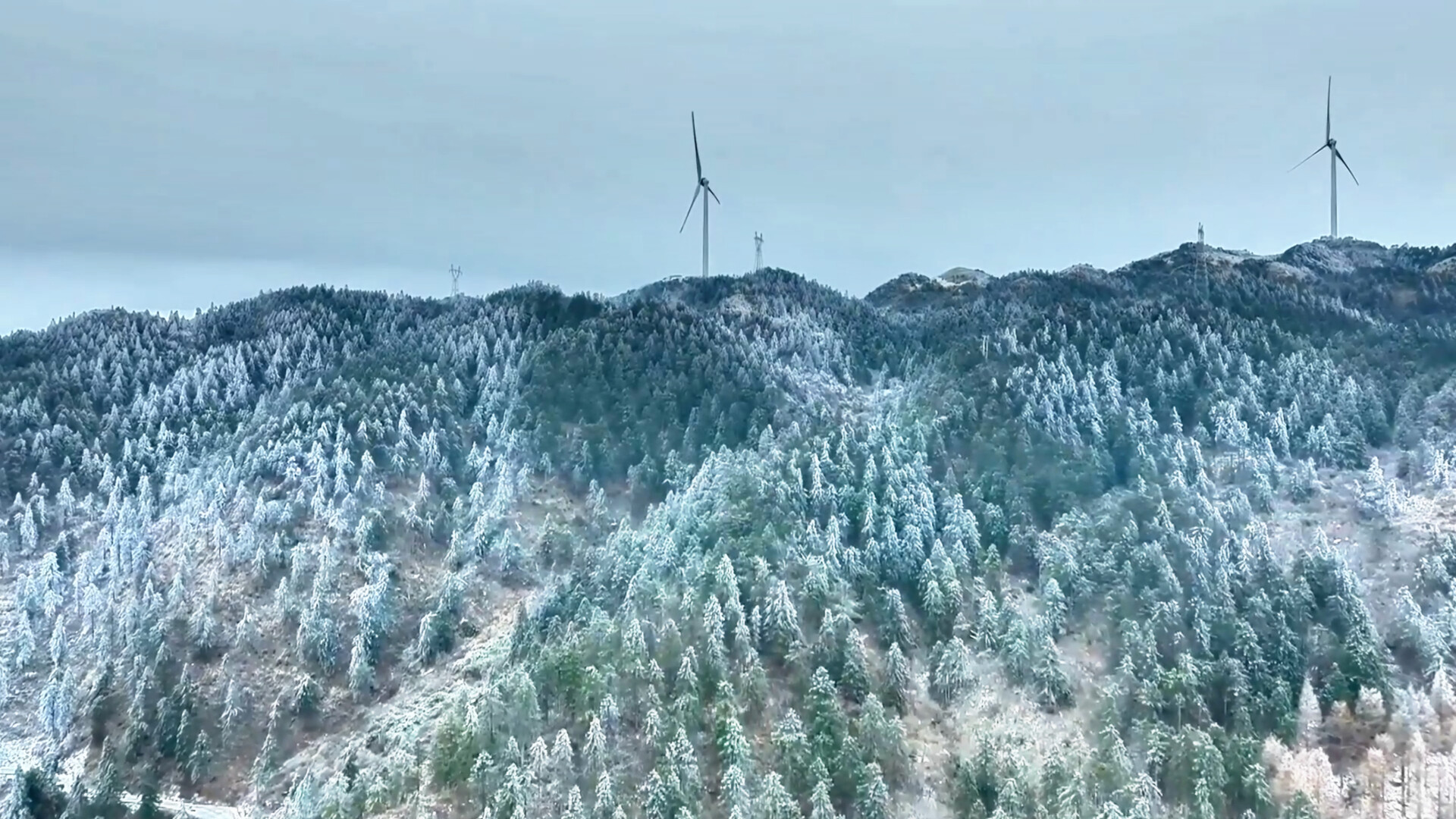 洞口龙坪山景区：雾凇映冬景 银装迎客来