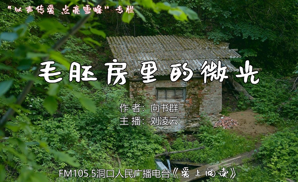 FM105.5《爱上阅读》第254期：毛胚房里的微光