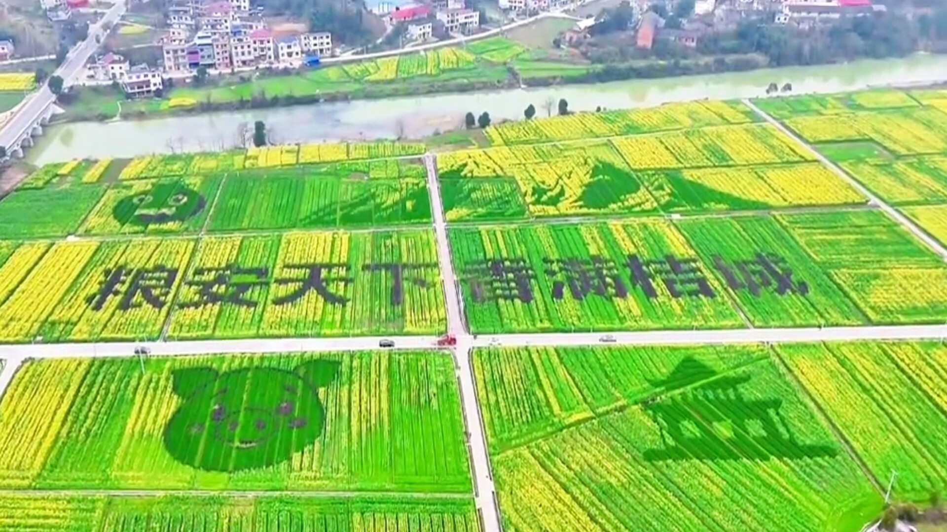 洞口：油菜花田里“种”出字 花海里感受春天气息