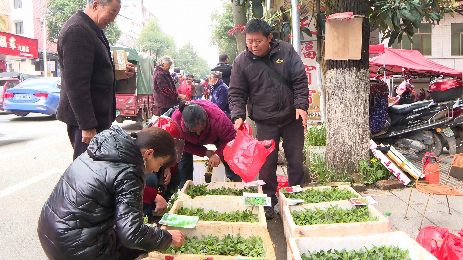赶集日里“苗”头旺 毓兰镇春耕备耕忙