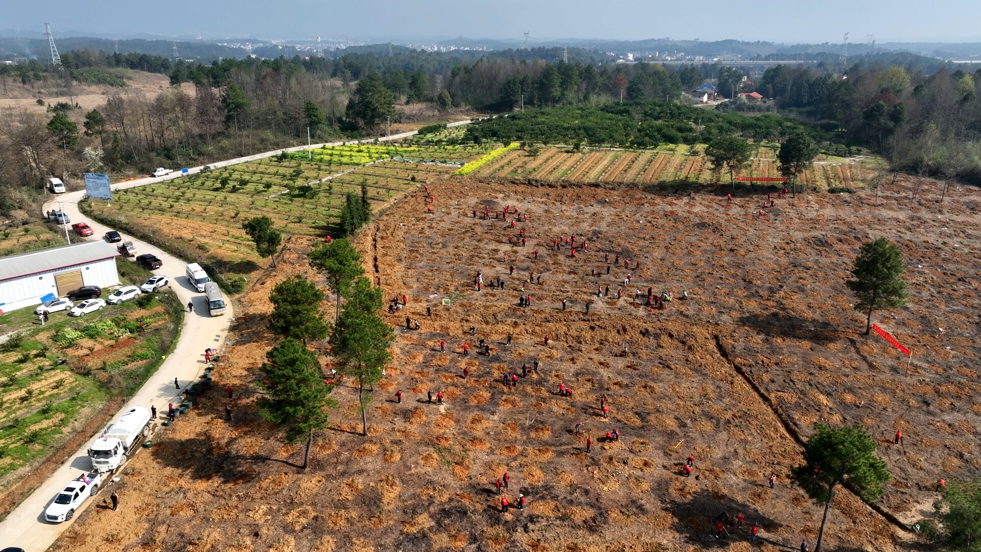 春风拂绿雪峰山 干群合力绘新景——洞口县开展2026年集中义务植树活动