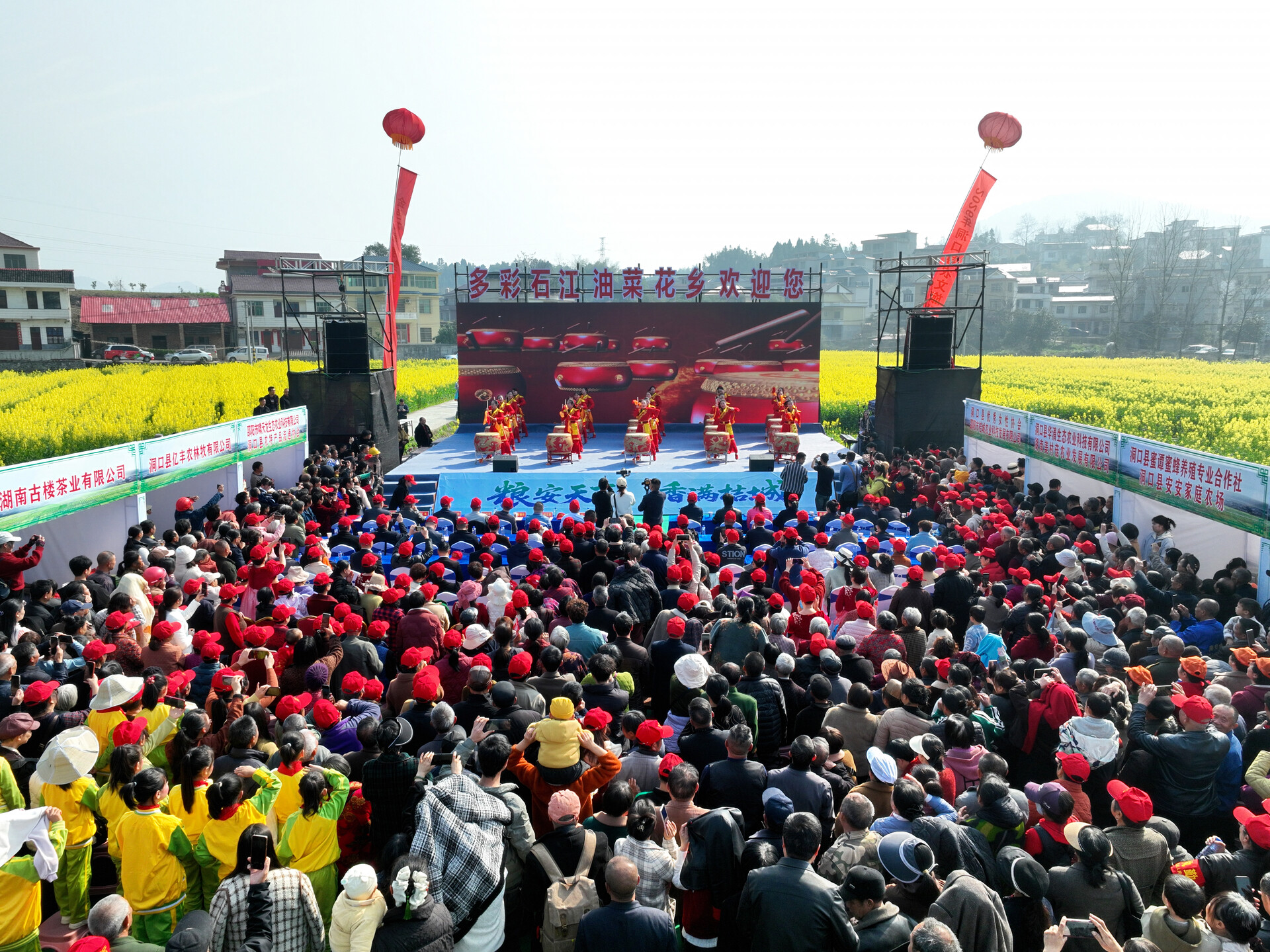 粮安天下 香满桔城——2026年洞口县农文旅融合发展暨“金色花海 寻梦田园”油菜花季活动启幕