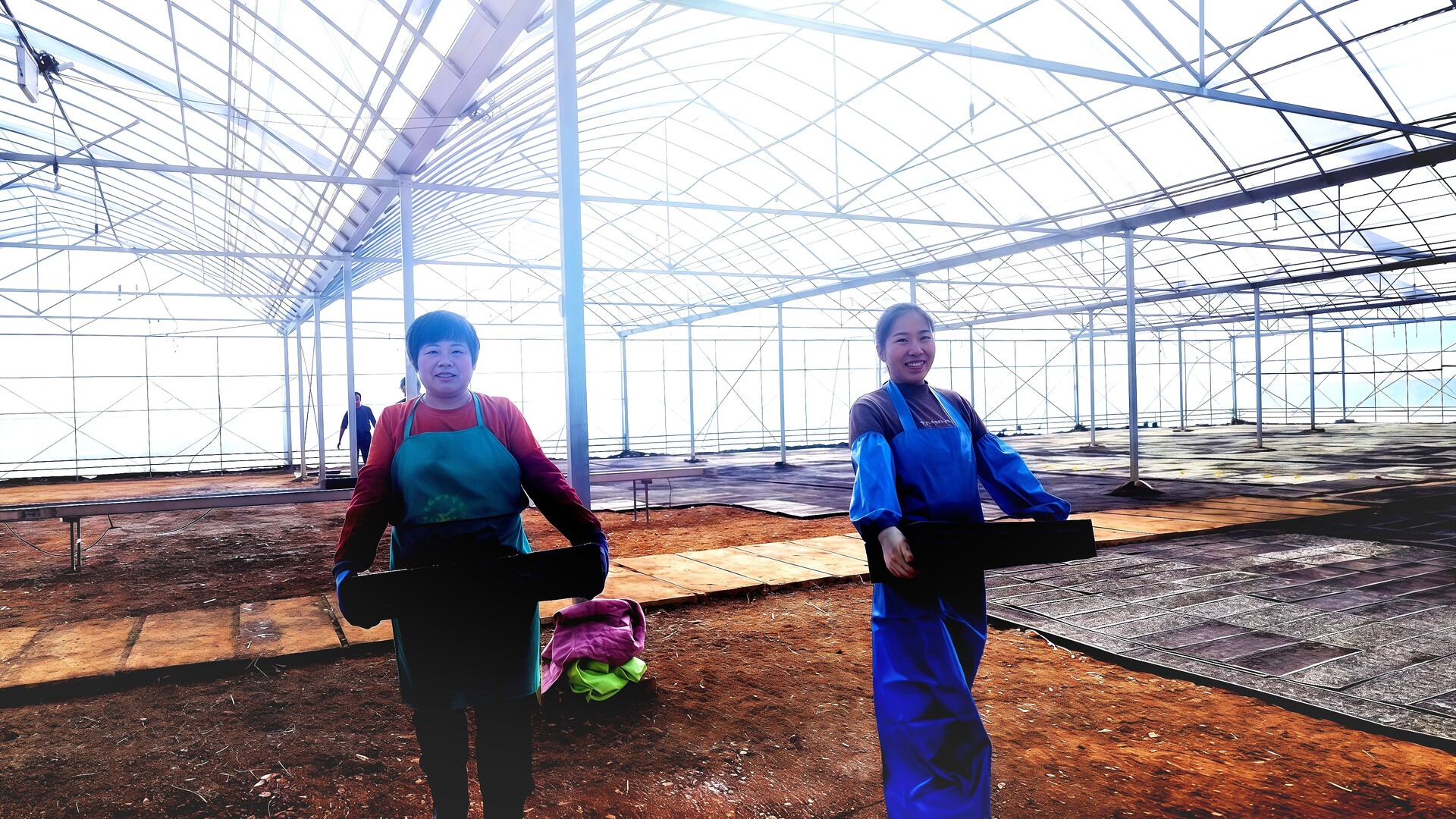 花古街道：大棚育苗忙 奏响春耕备耕“交响曲”