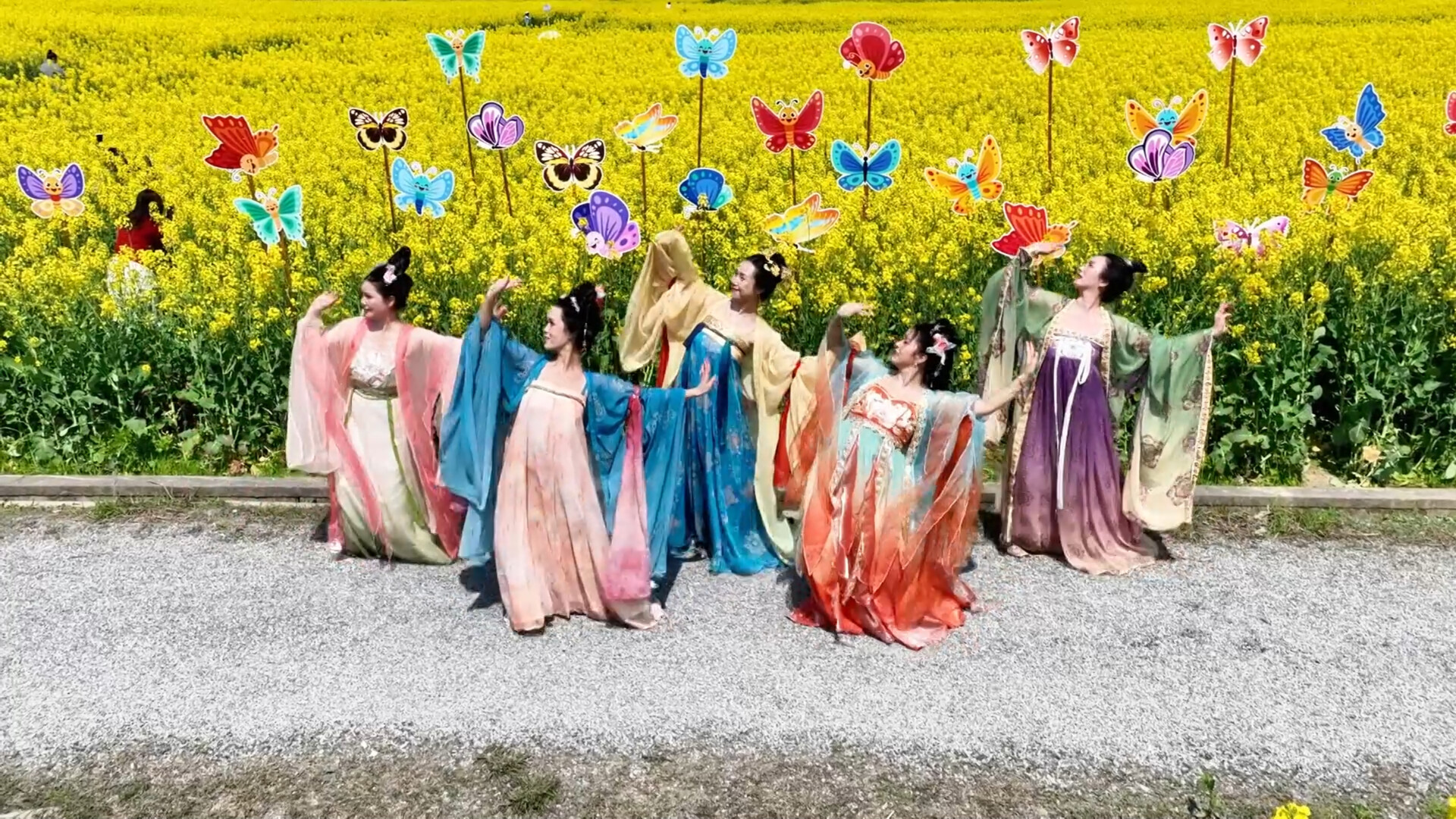 洞口：花海上演“汉服秀”开启古风沉浸式体验