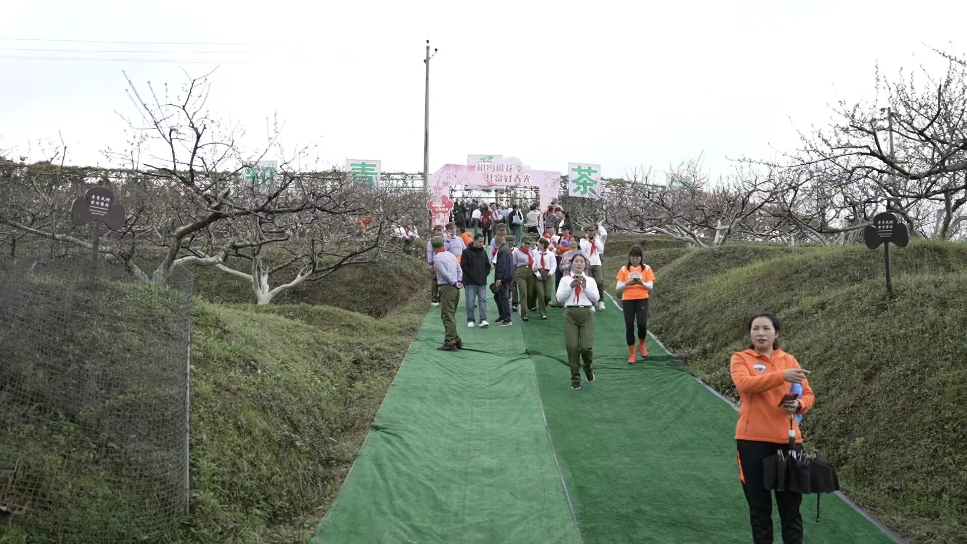 洞口县清明假期文旅市场持续升温