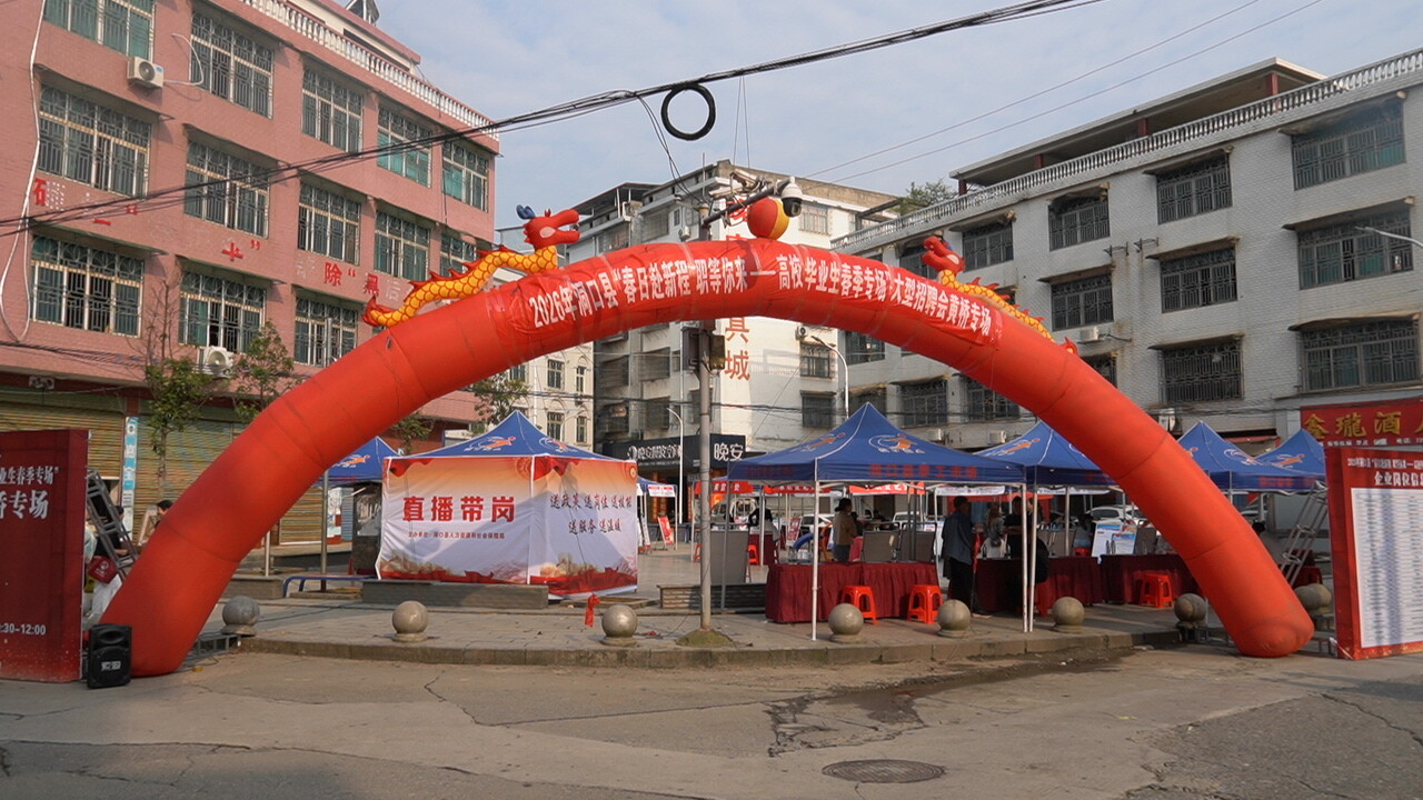 “春日赴新程 职等你来”——洞口县2026年高校毕业生春季专场招聘会在黄桥镇举办