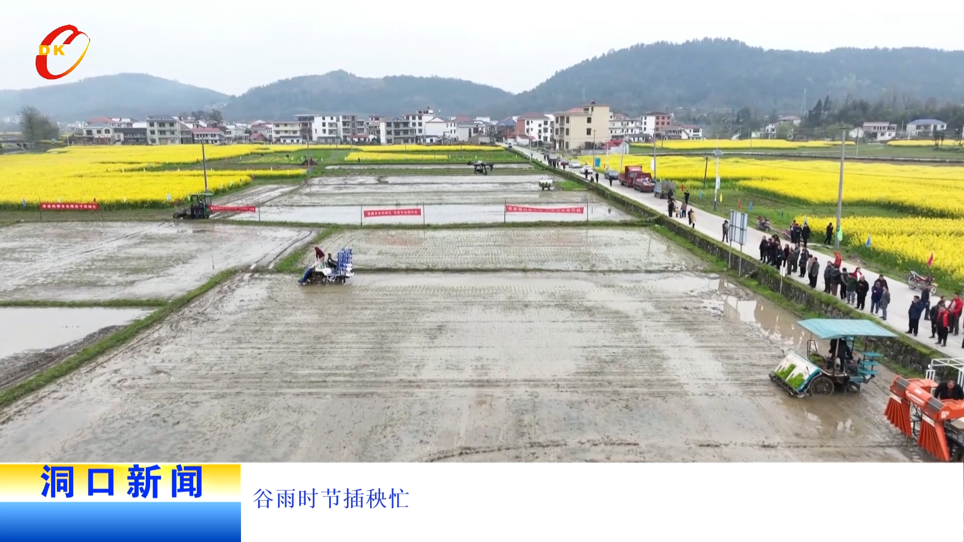 谷雨时节插秧忙