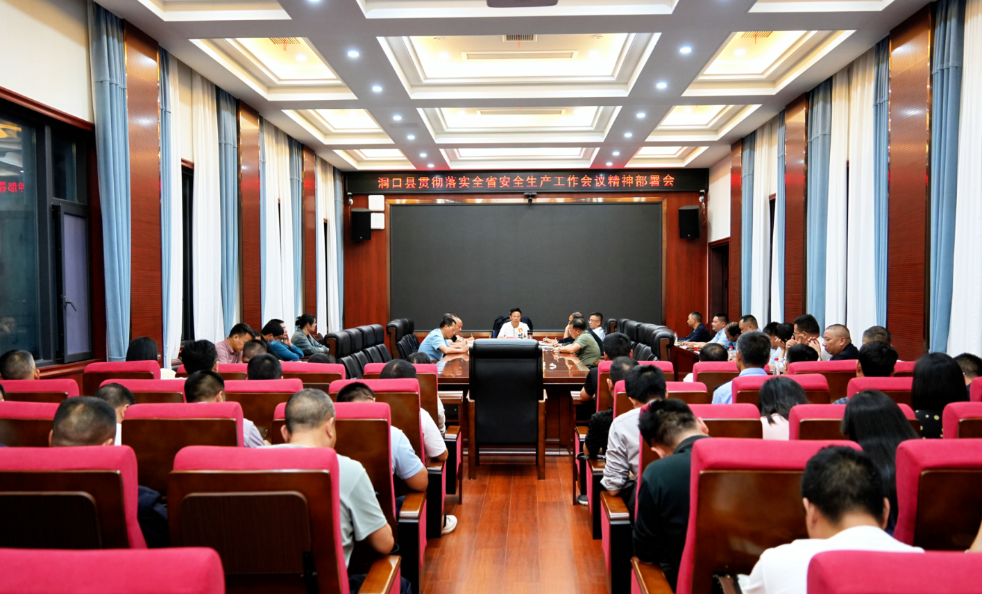 洞口县贯彻落实全省安全生产工作会议精神部署会召开(图1)