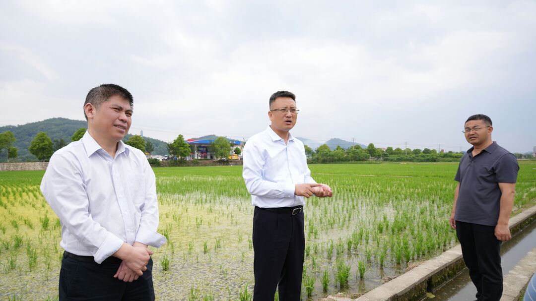 许治国调研春耕生产、耕地抛荒治理工作