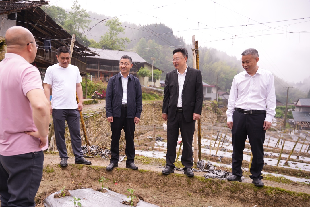 吴韬到渣坪乡、月溪镇调研产业发展等工作