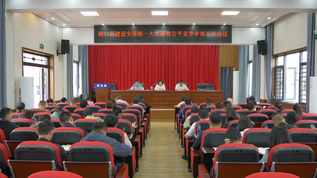 洞口县建设全国统一大市场暨公平竞争审查工作会议召开(图1)