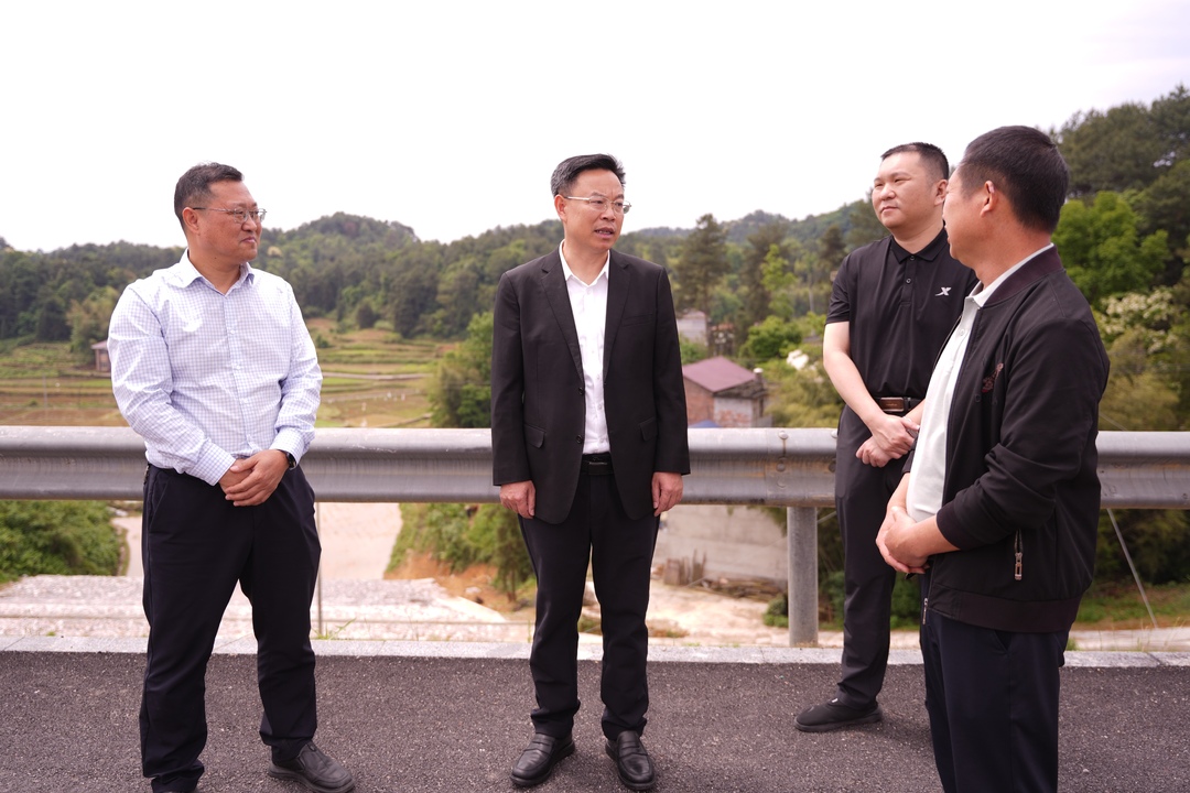 吴韬调研防汛备汛工作