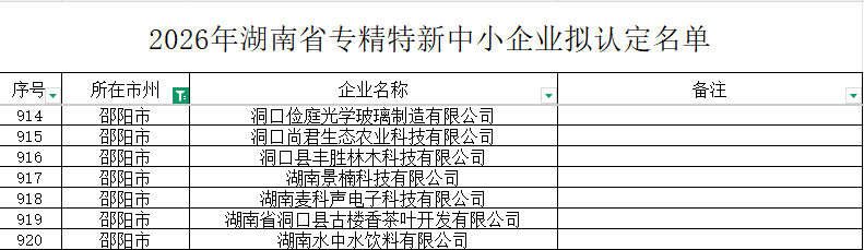 洞口县新增7家省级专精特新中小企业