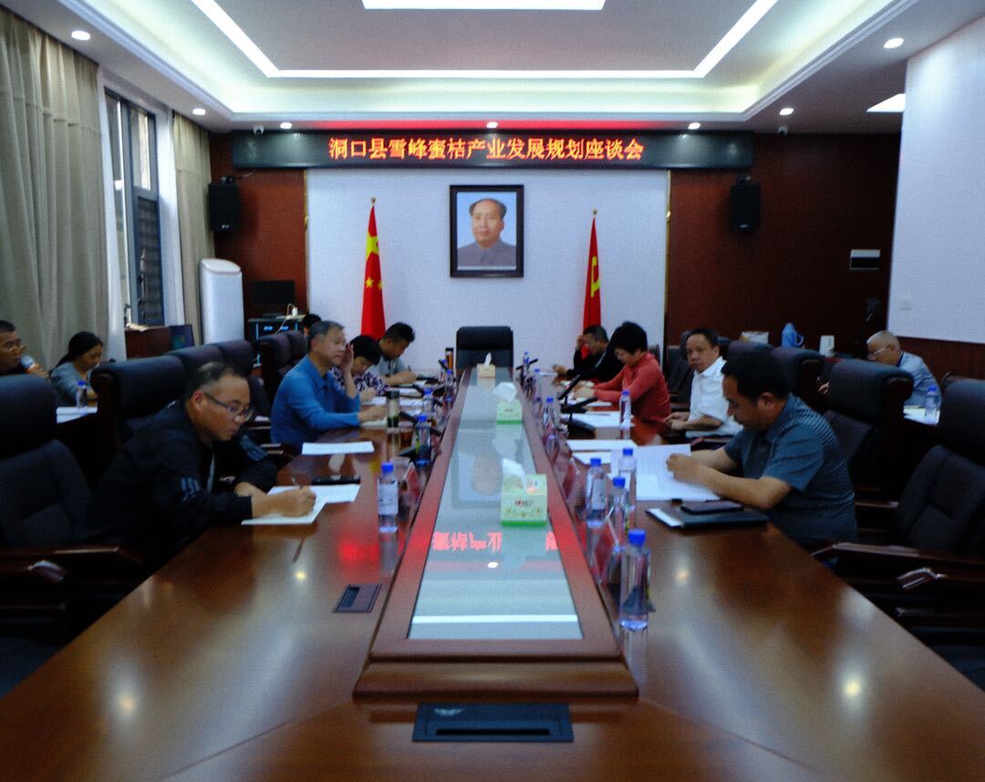 洞口县召开雪峰蜜桔产业发展规划座谈会