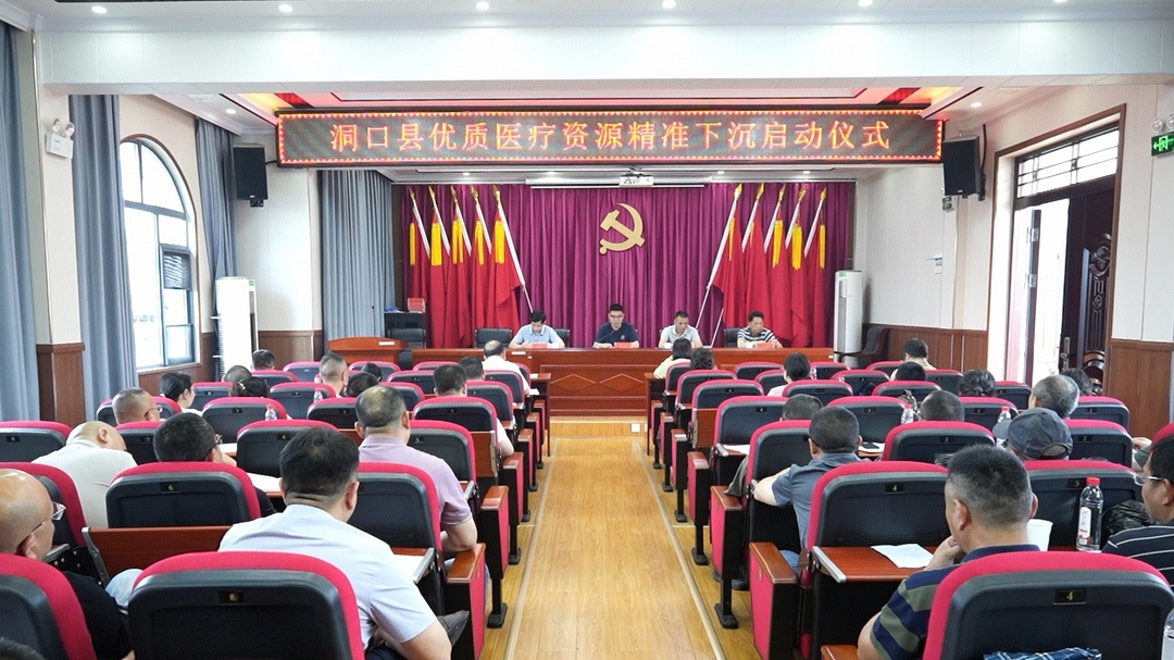 洞口县启动优质医疗资源精准下沉工作 筑牢基层健康防线