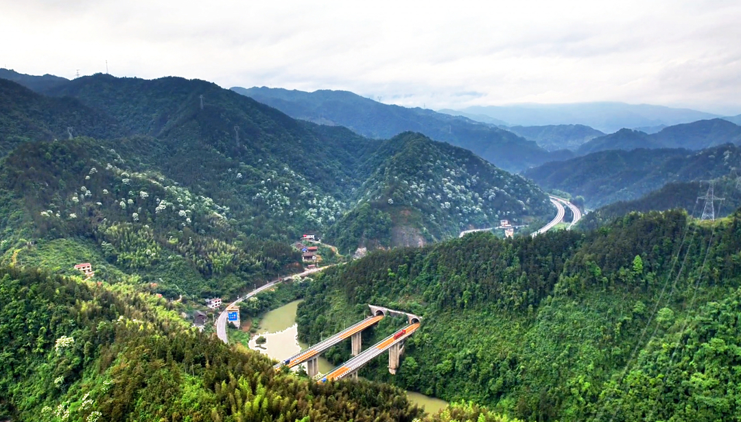 洞口：桐子花开 青山染霜