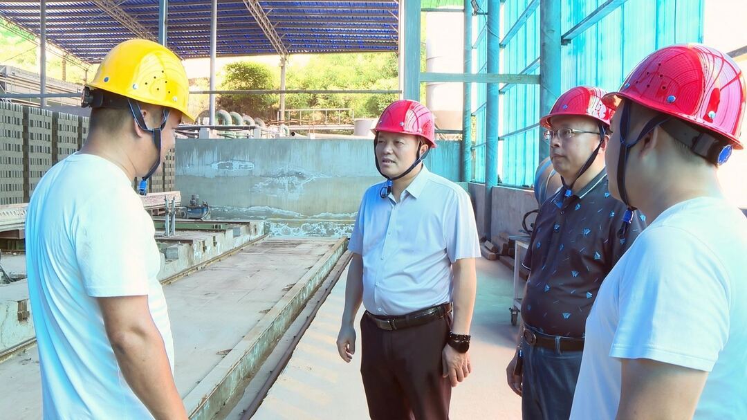 欧阳佑春到竹市镇开展代表进站履职暨安全生产执法检查