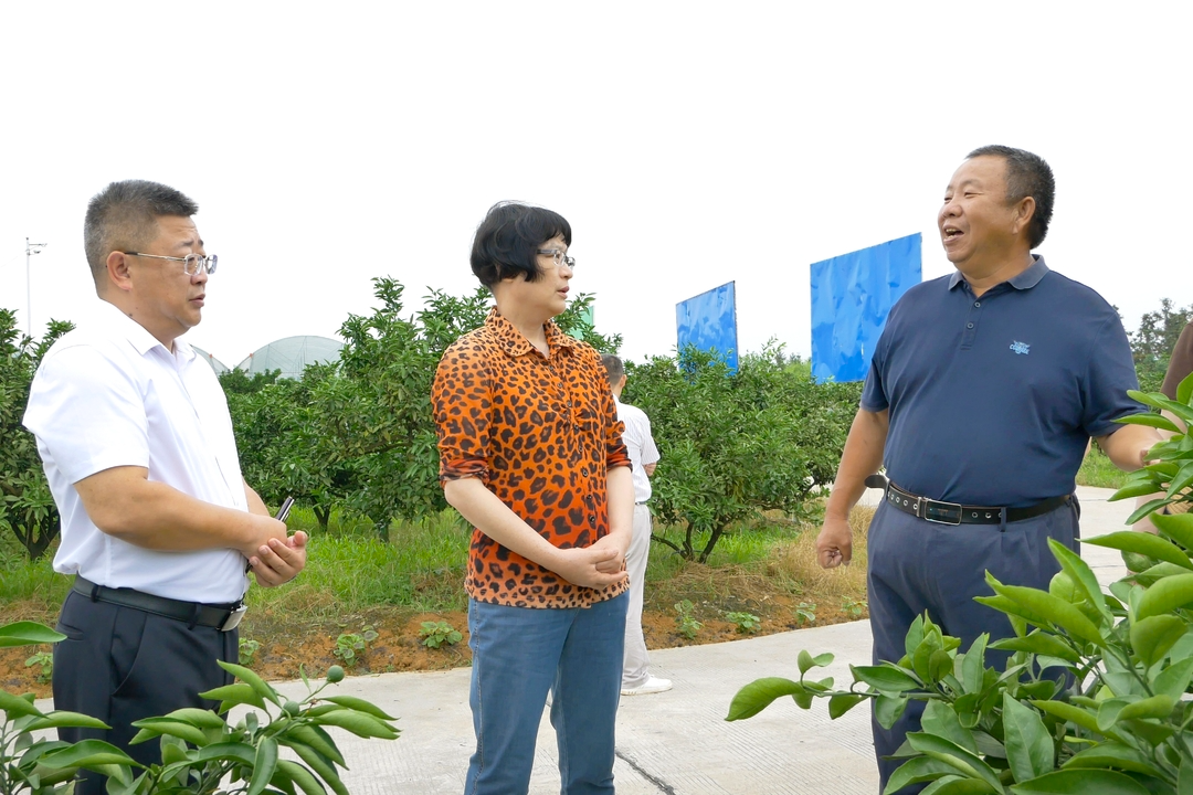 市政协到洞口开展“加速县域农业产业化，构建更高质量‘一县一特’格局 ”专题调研