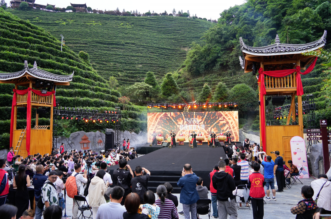茶旅融合绽芳华 实景大秀启新篇——洞口古楼茶园品牌大秀精彩上演