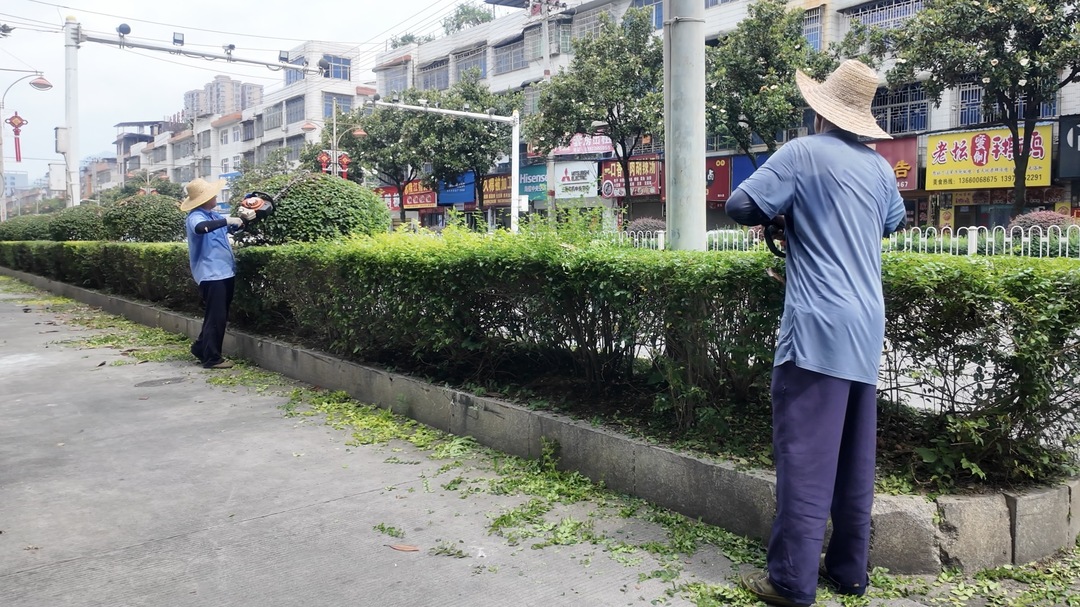县城管局：持续推进城市精细化管理，提升城区绿化景观品质