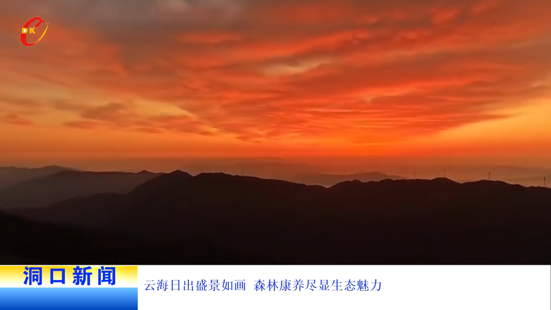 云海日出盛景如画 森林康养尽显生态魅力