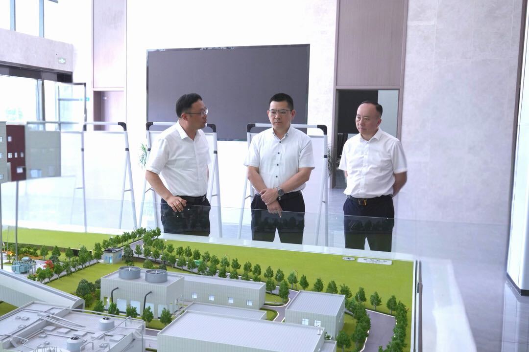王智刚调研生态环境保护工作