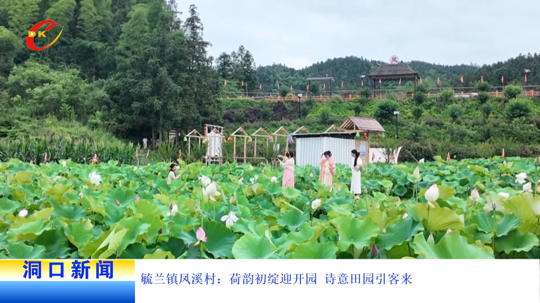 毓兰镇凤溪村：荷韵初绽迎开园 诗意田园引客来